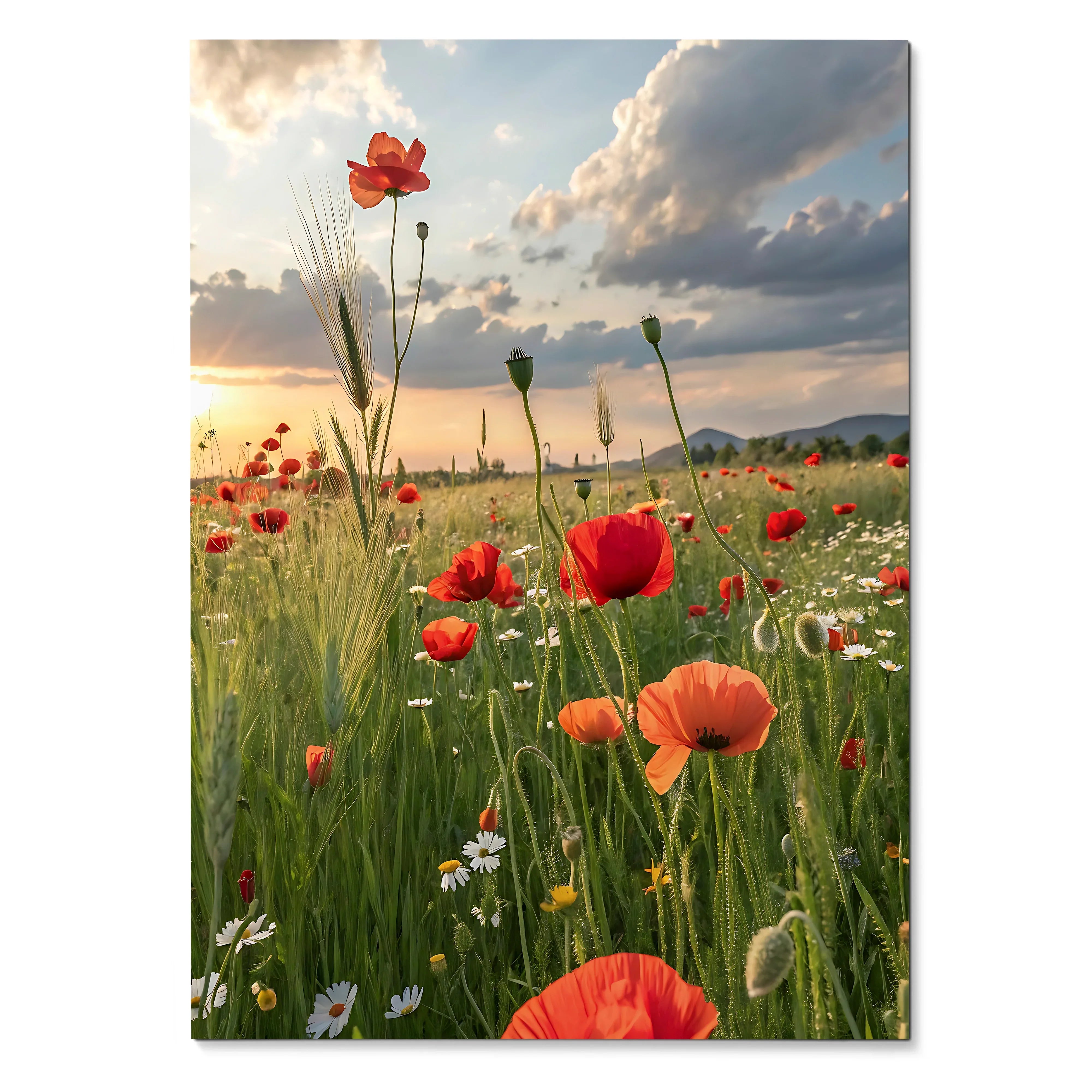 Vertical poster featuring vibrant red poppies and wildflowers in a sunlit meadow for wall art and home decor.