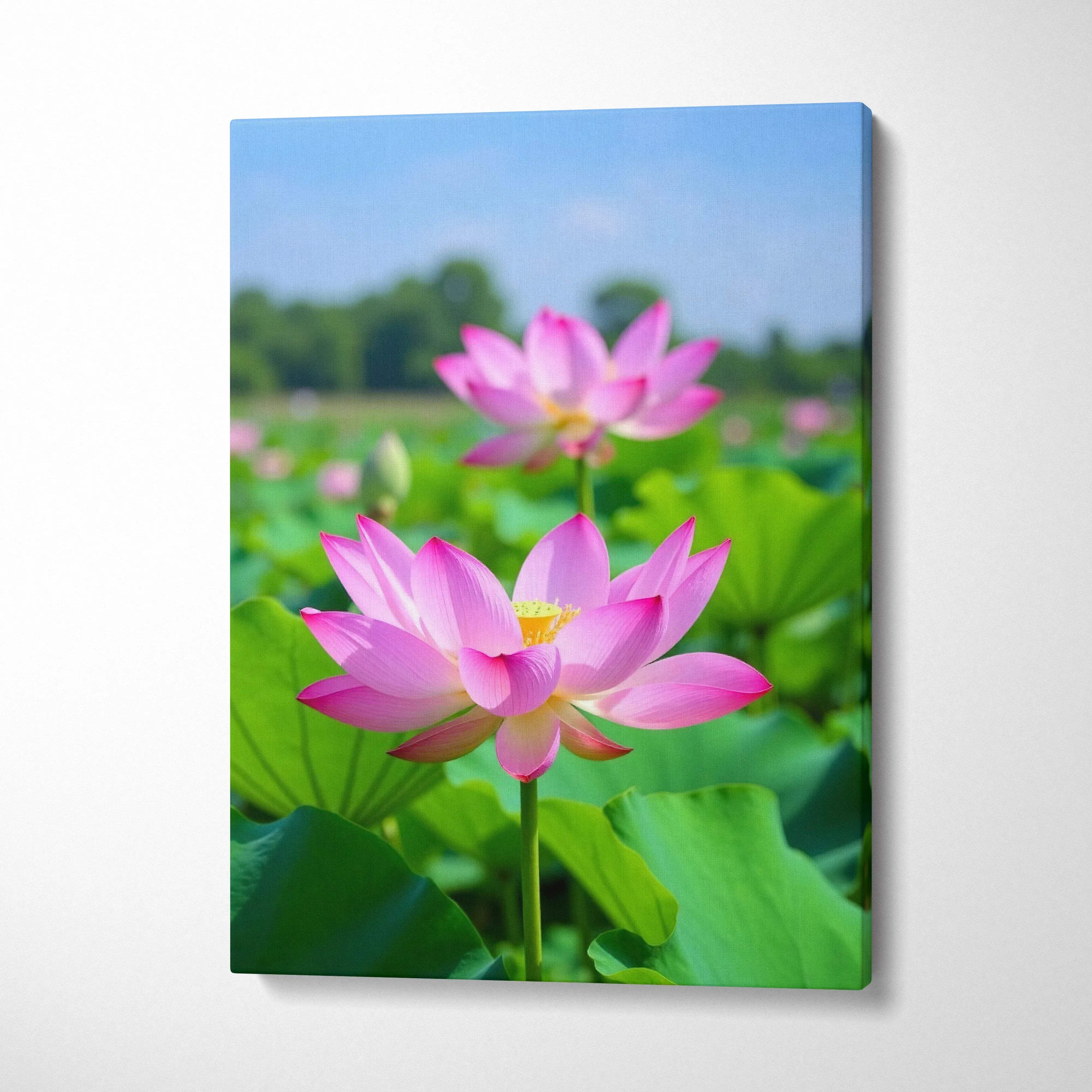 Pink lotus flowers with green leaves on canvas wall art print against blue sky background.