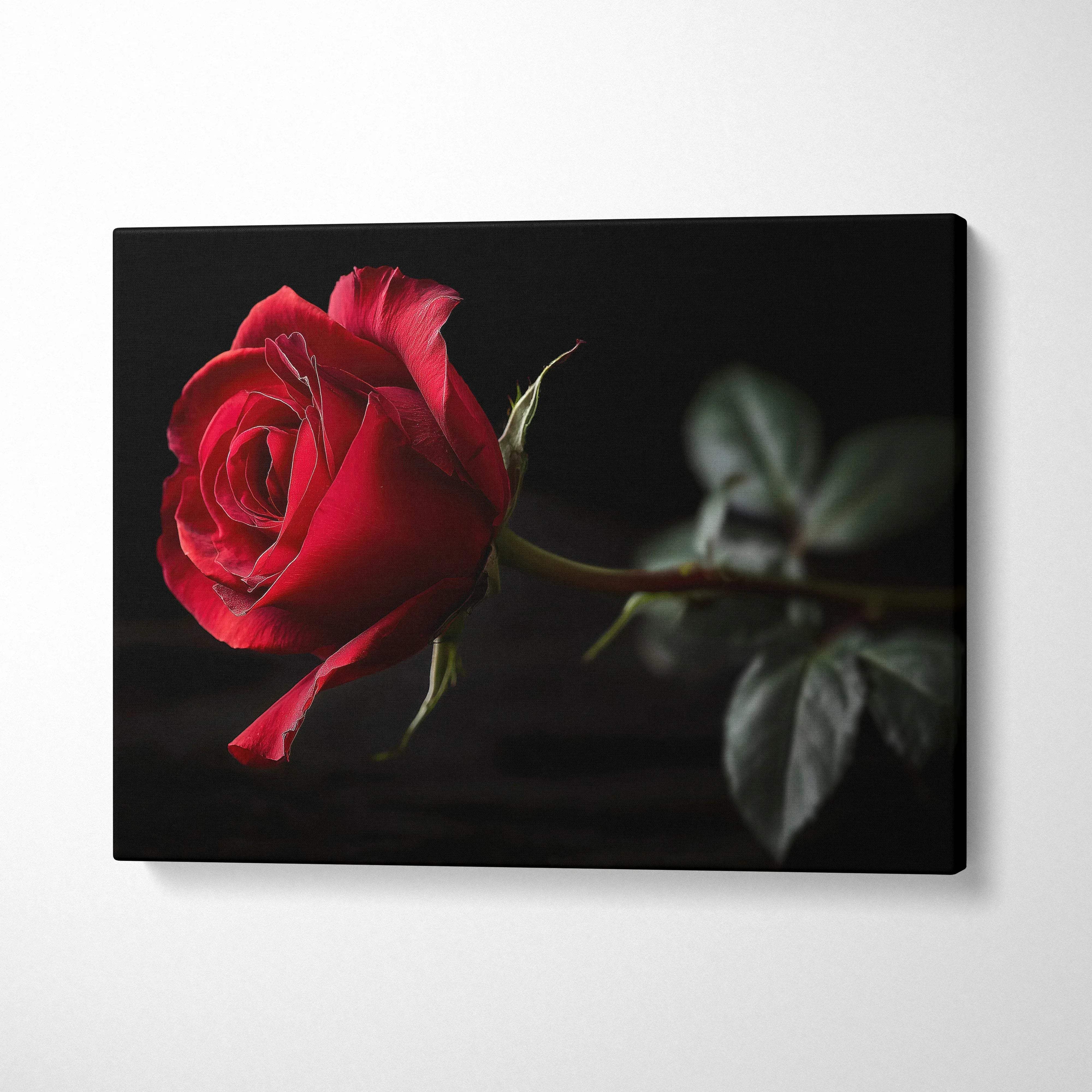 Canvas wall art featuring a vibrant red rose on a black background in floral nature art style.