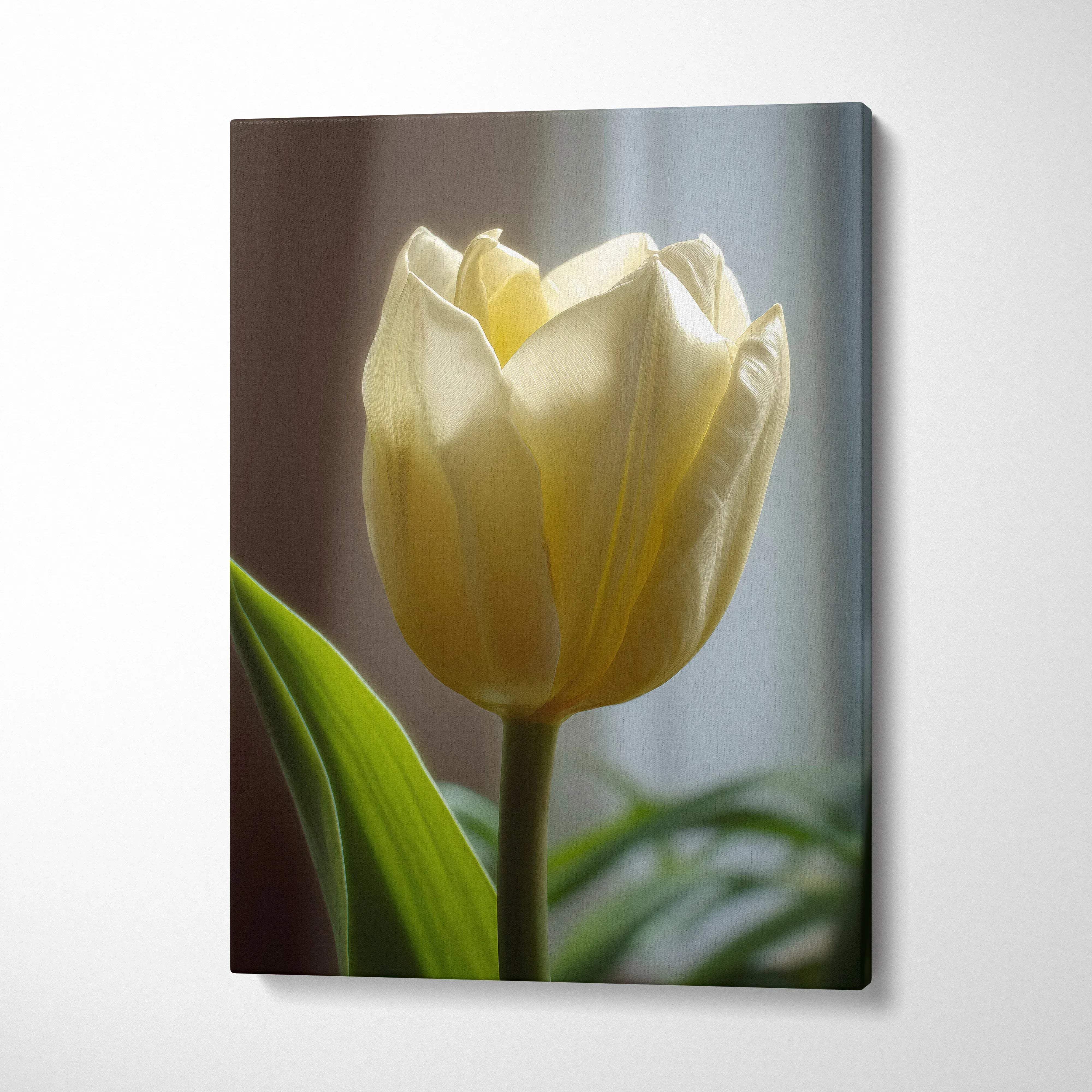 Canvas wall art featuring a close-up of a creamy white tulip with green leaves and soft lighting.