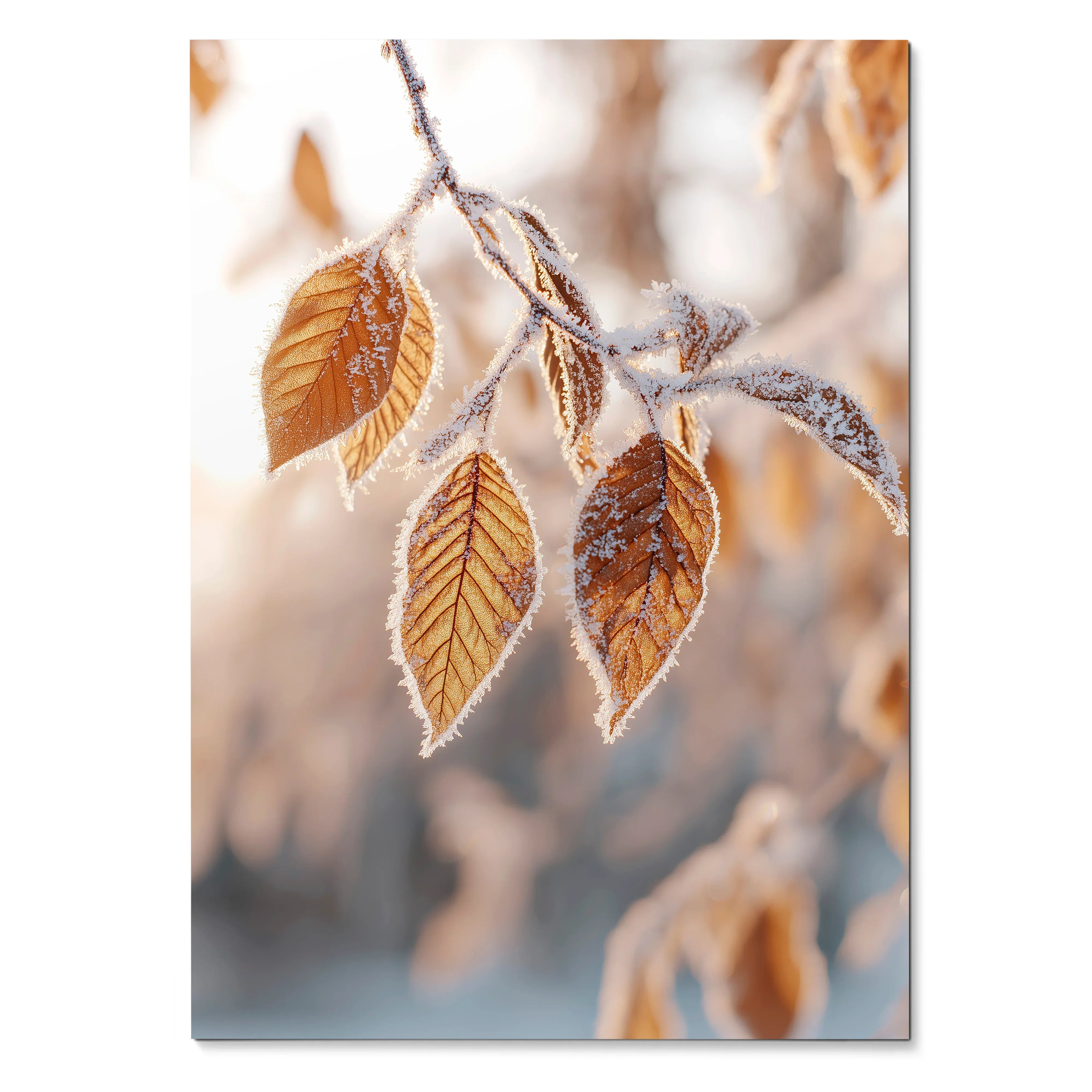 Autumn leaves with frost detail close-up digital art poster wall art print.