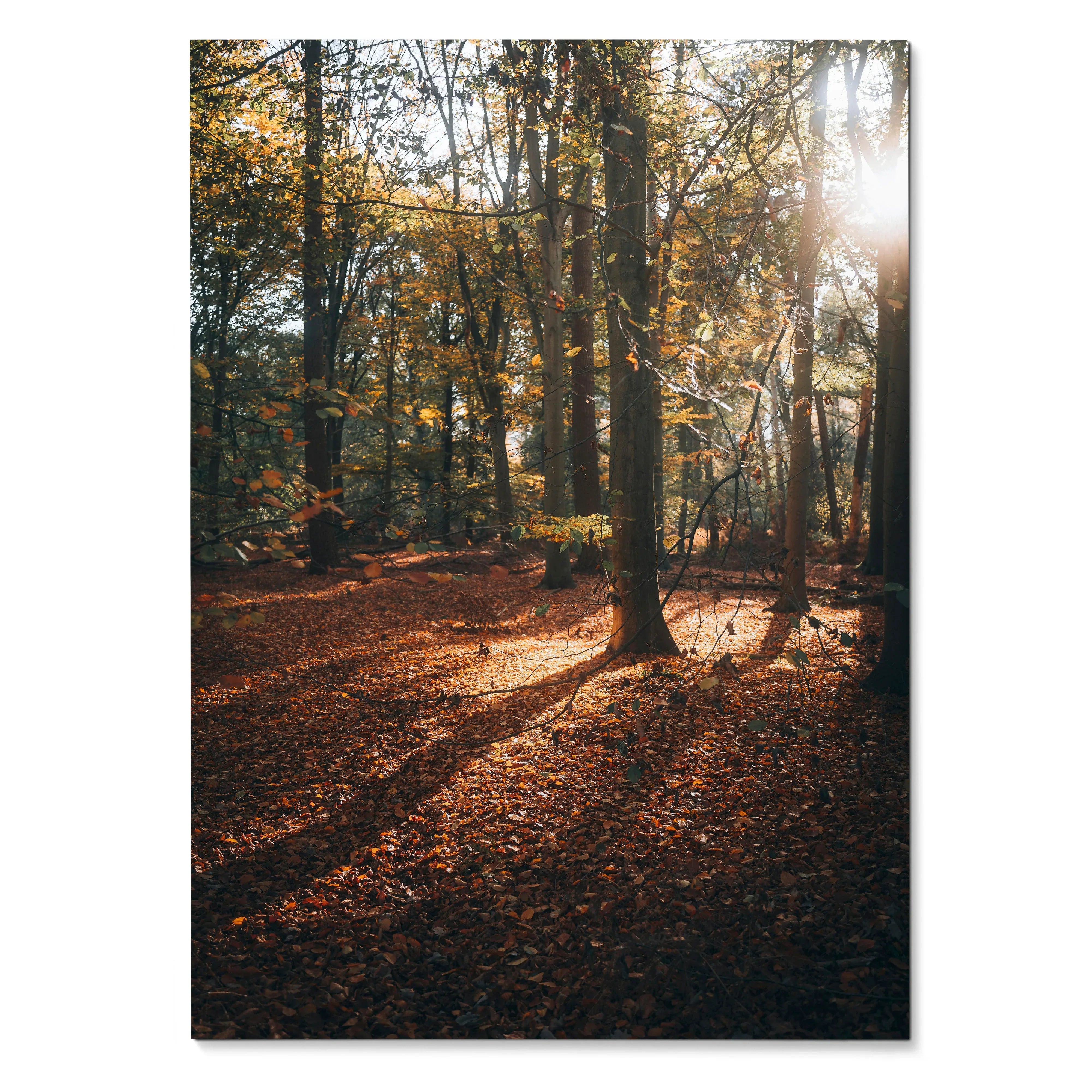 Vertical autumn forest wall art poster with vibrant orange and brown leaves under sunlight.