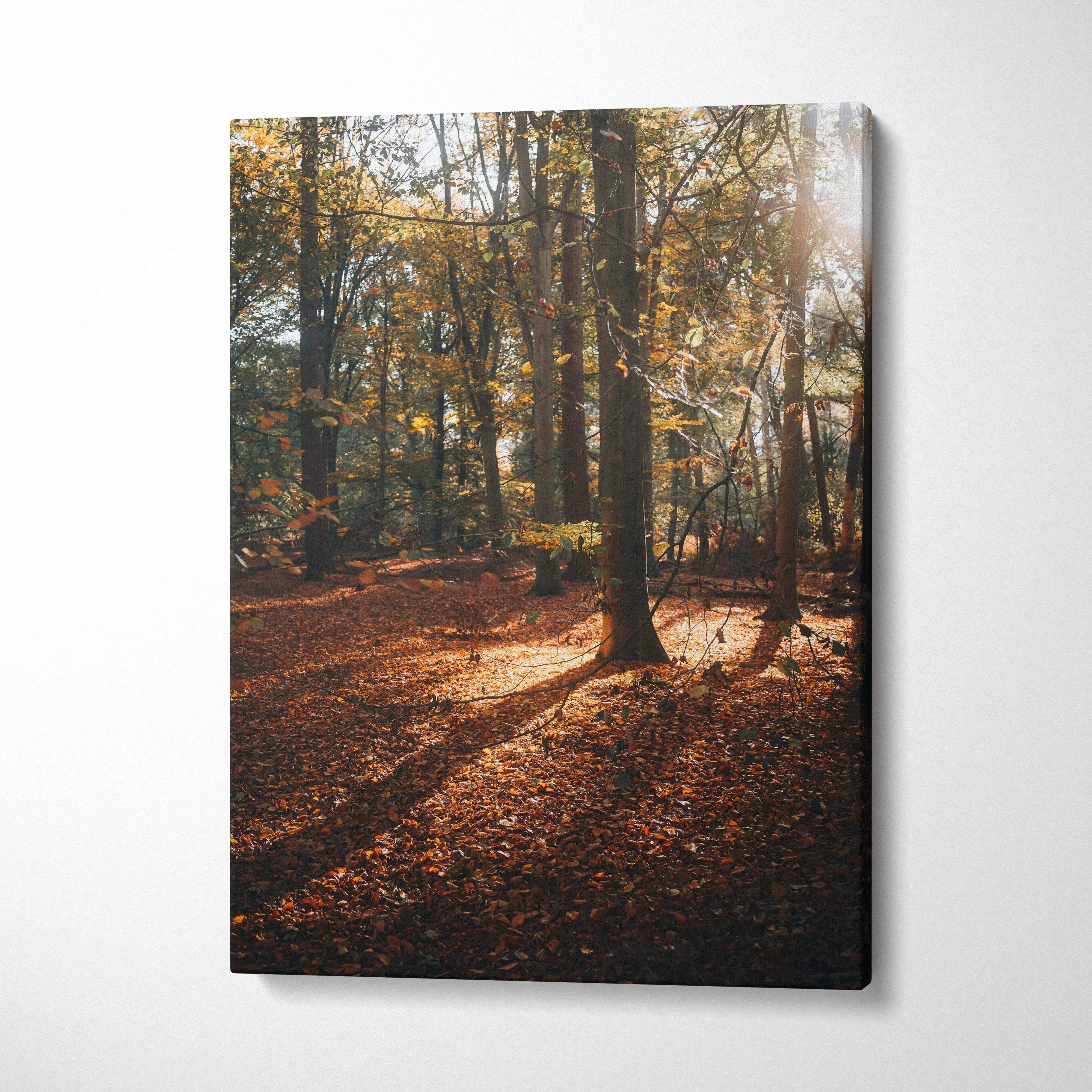 Autumn forest landscape with golden leaves and dappled sunlight on canvas wall art.