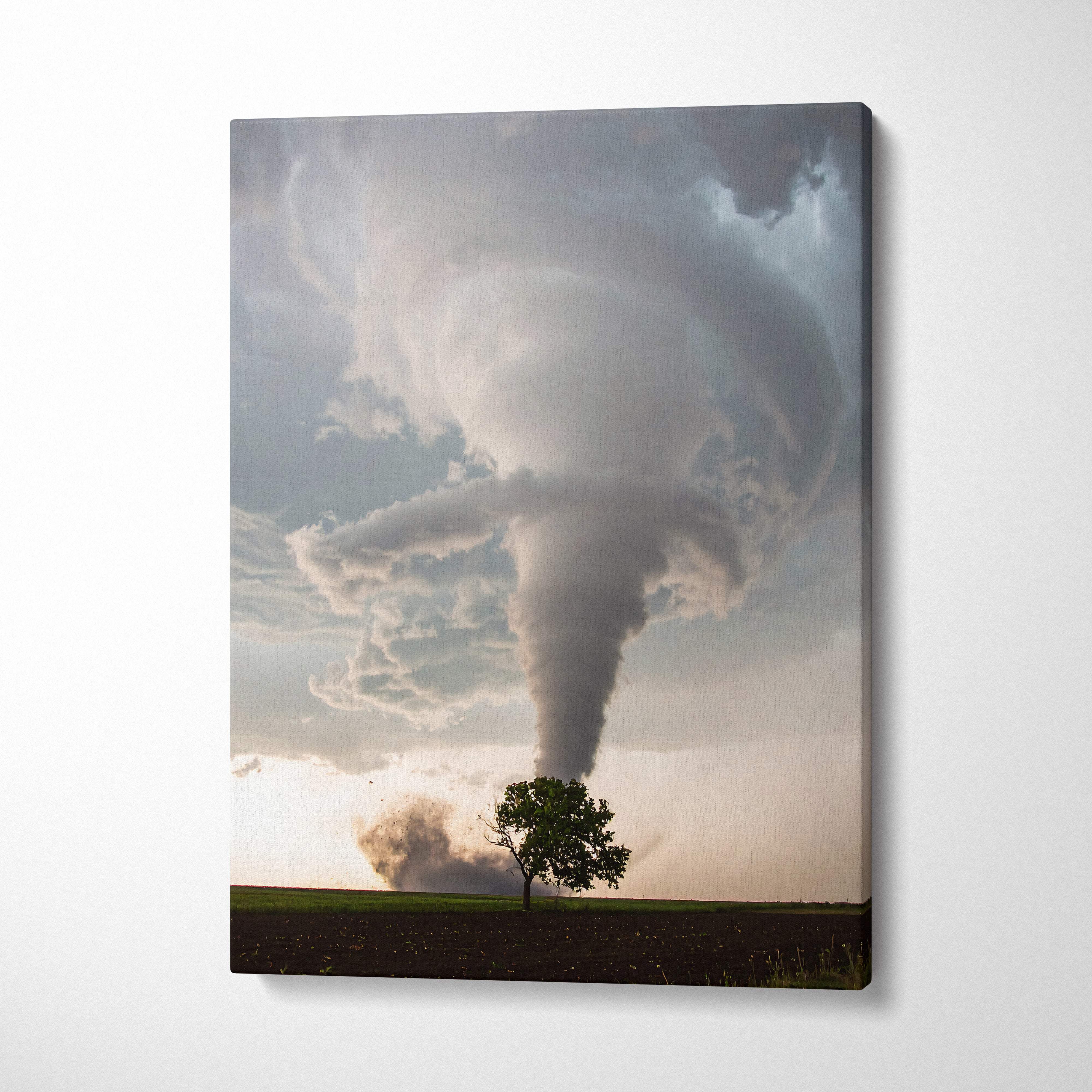 Canvas print of a dramatic tornado with swirling gray clouds over a solitary green tree for rustic wall art decor