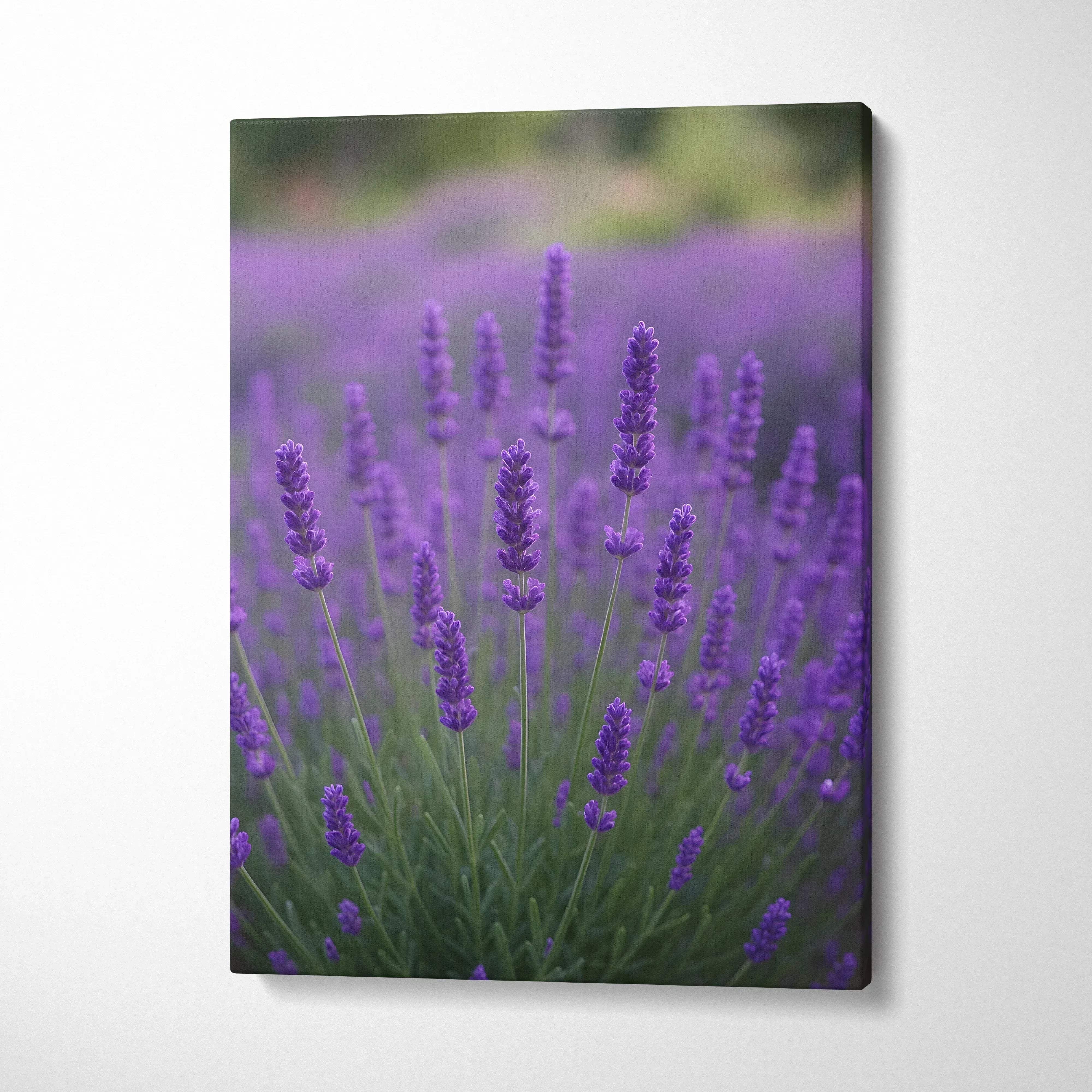 Vertical canvas wall art featuring vibrant purple lavender flowers in a soft-focus garden background.