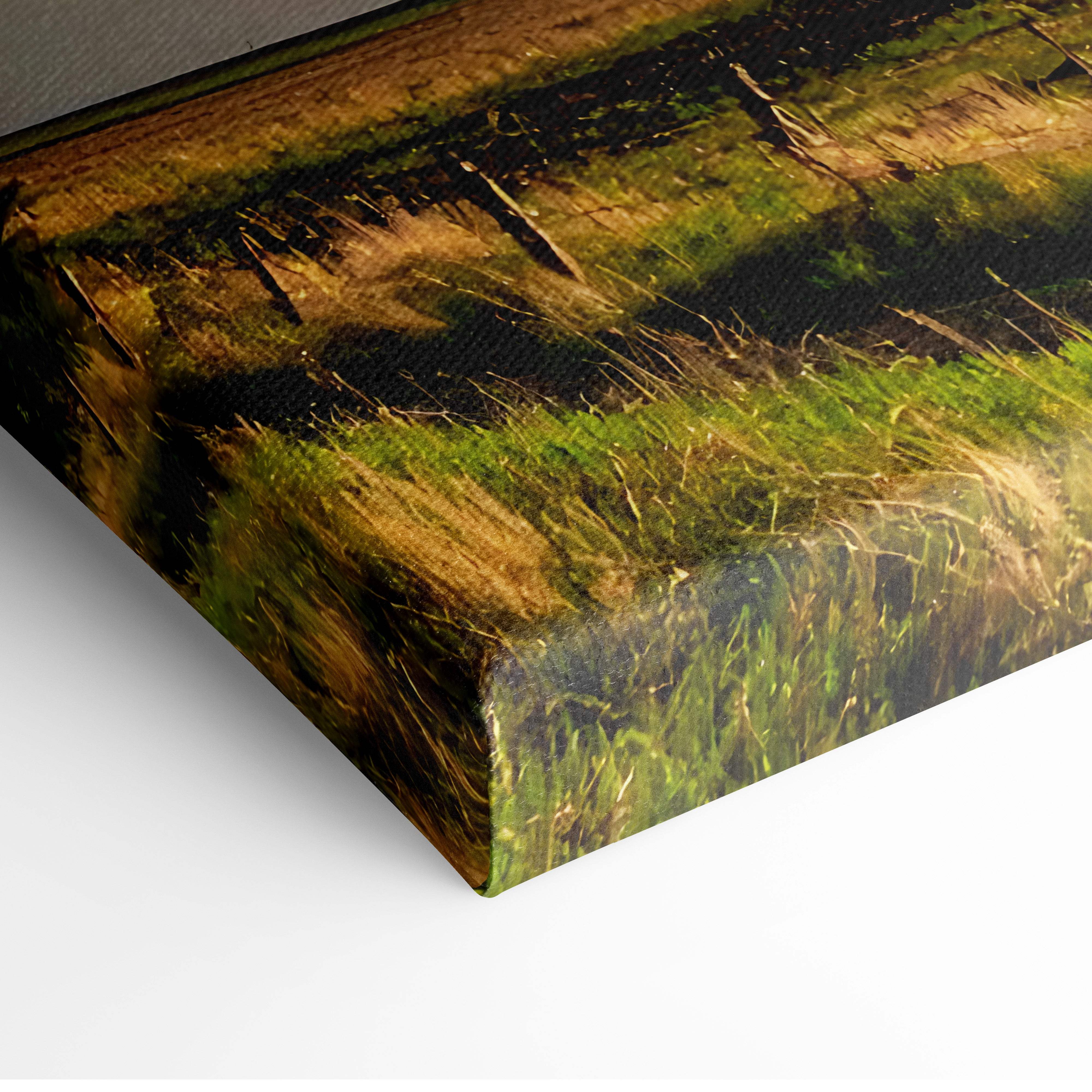 Massive supercell tornado canvas art featuring a textured print of a lush sunlit grassy field in vibrant greens and earthy tones