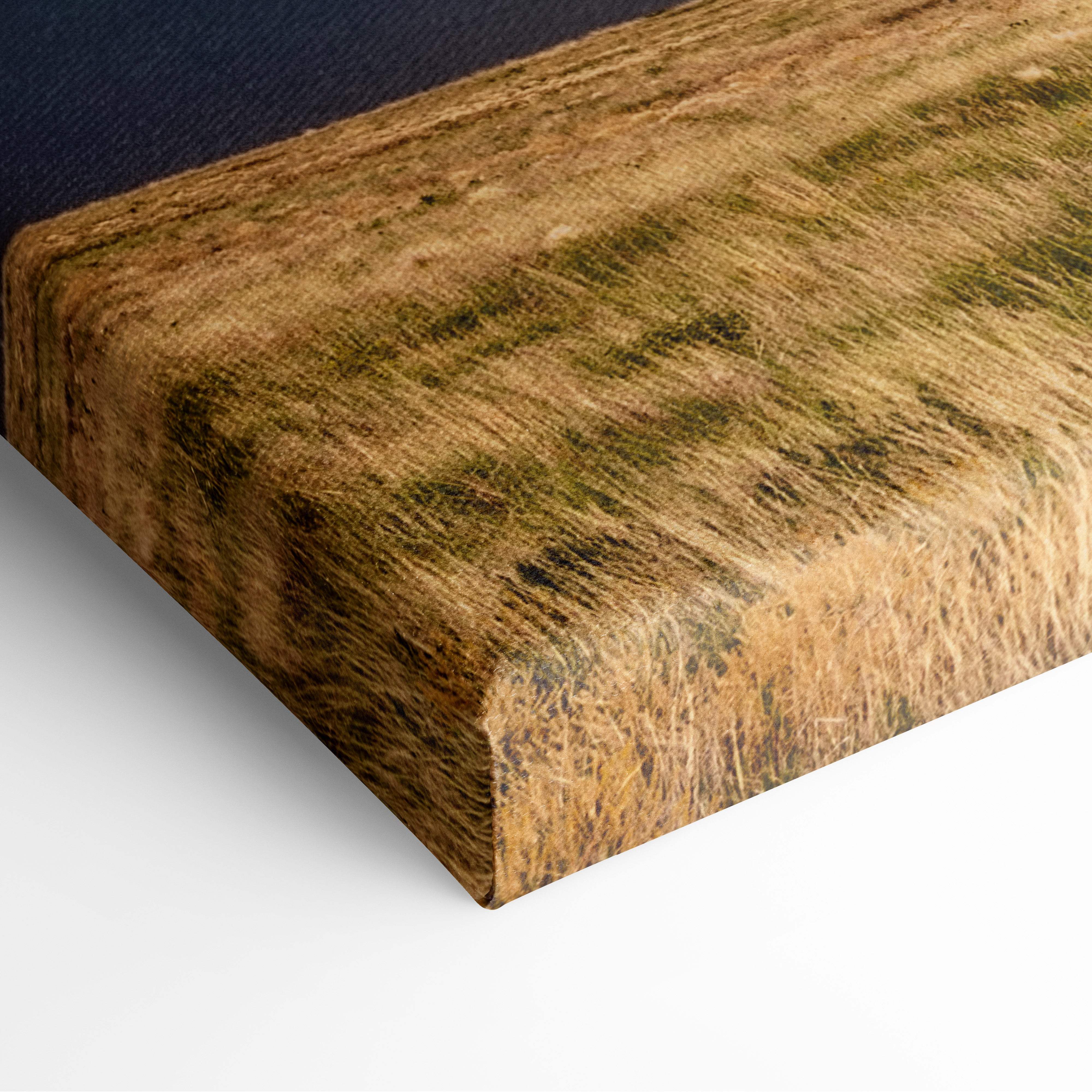 A rustic canvas print of a golden-brown grassy field with green streaks titled lightning strike over prairie wall art