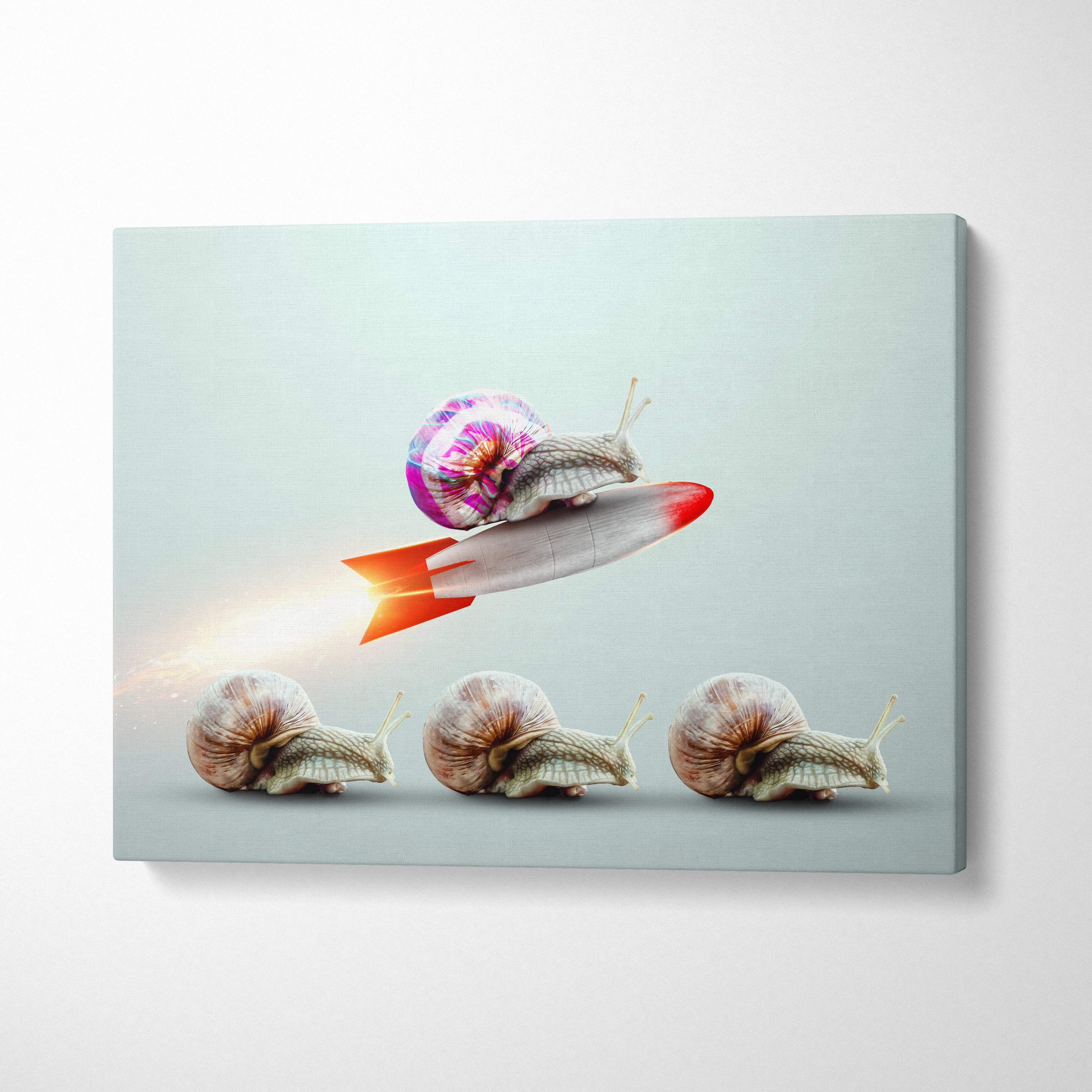 A contemporary canvas print of a snail with a vibrant tie dye shell on a silver rocket with red fins and crawling snails