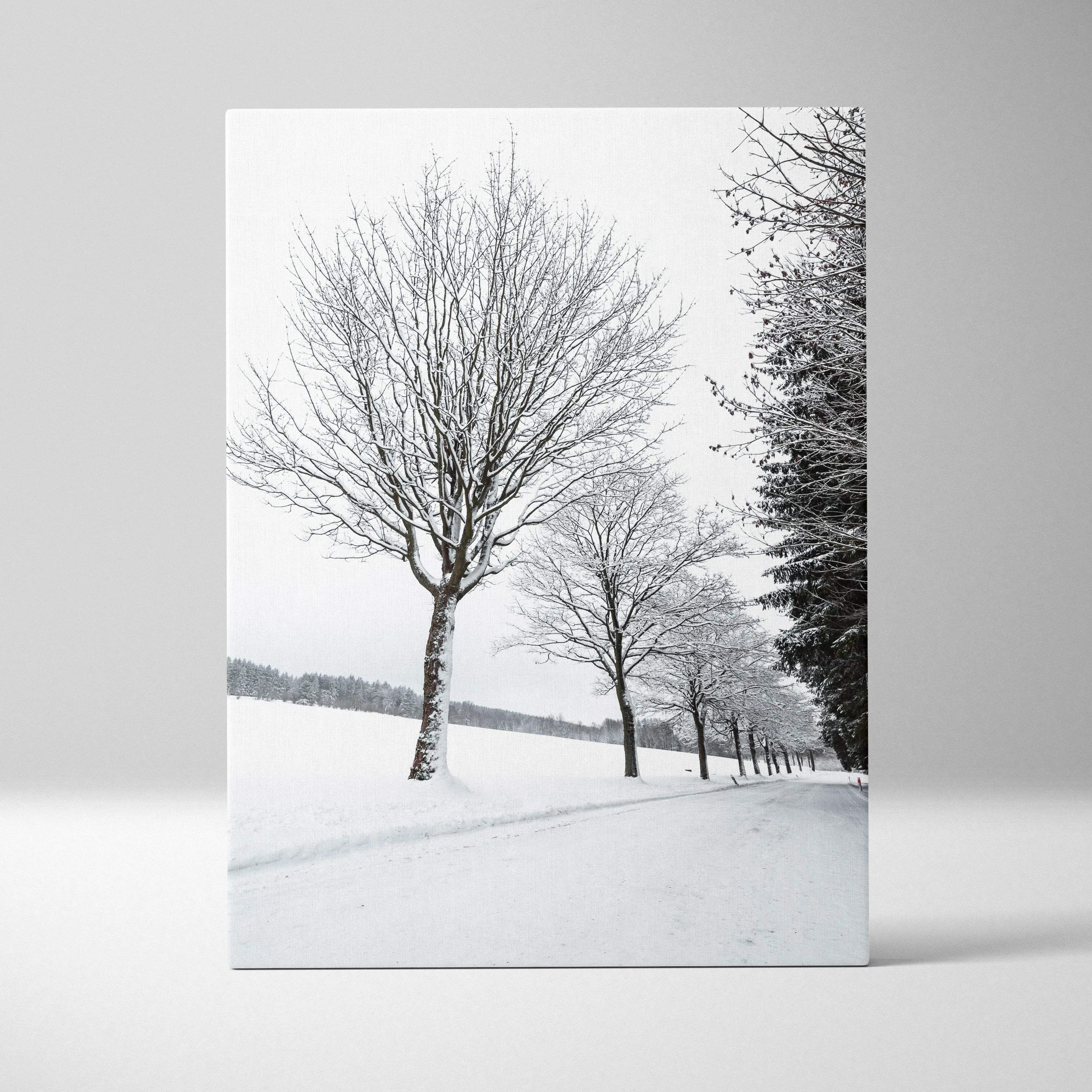 Monochrome winter landscape canvas wall art depicting snow-covered trees along a frosty road in fine art photography