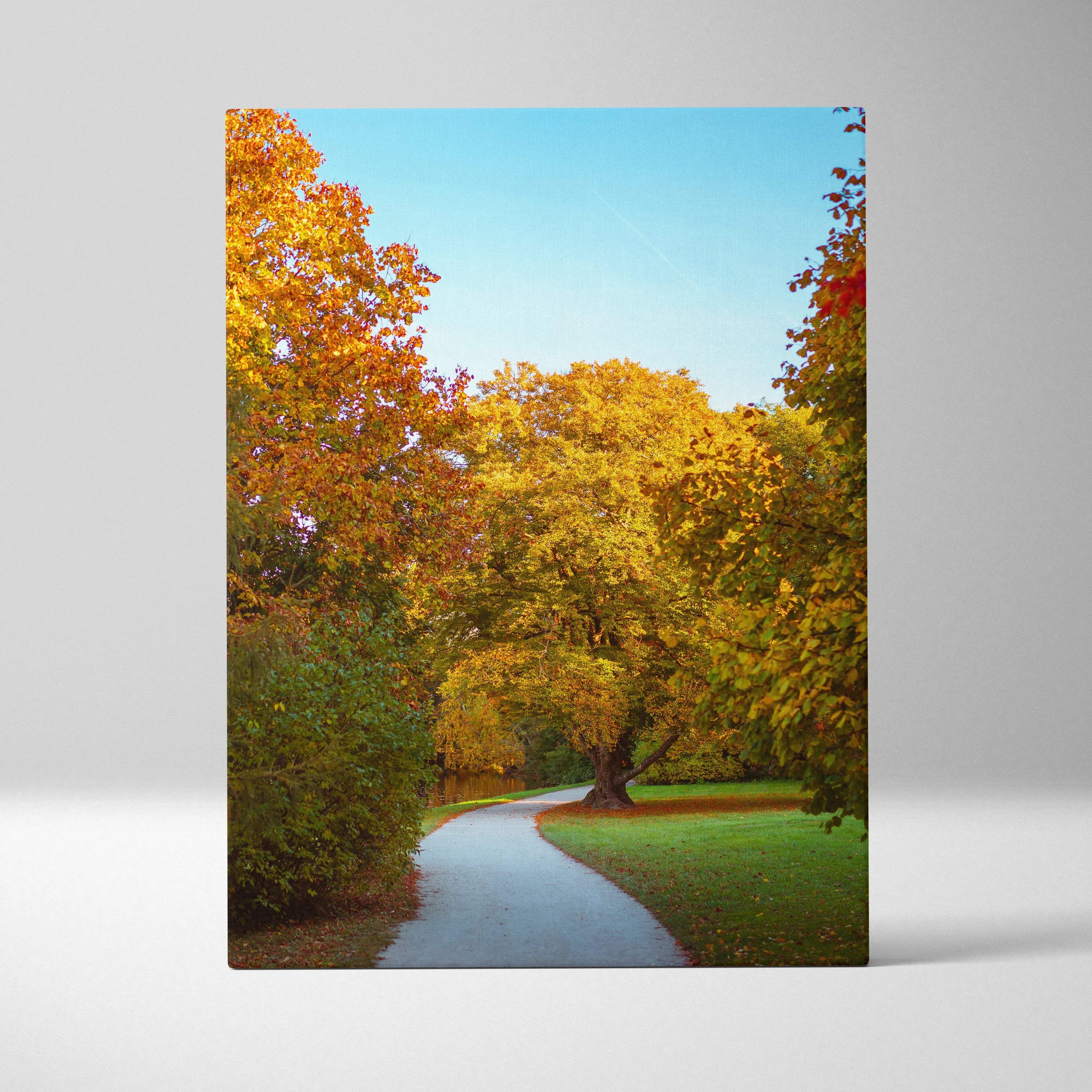 Autumn landscape canvas wall art showing a sunlit path through golden yellow and orange trees under blue sky