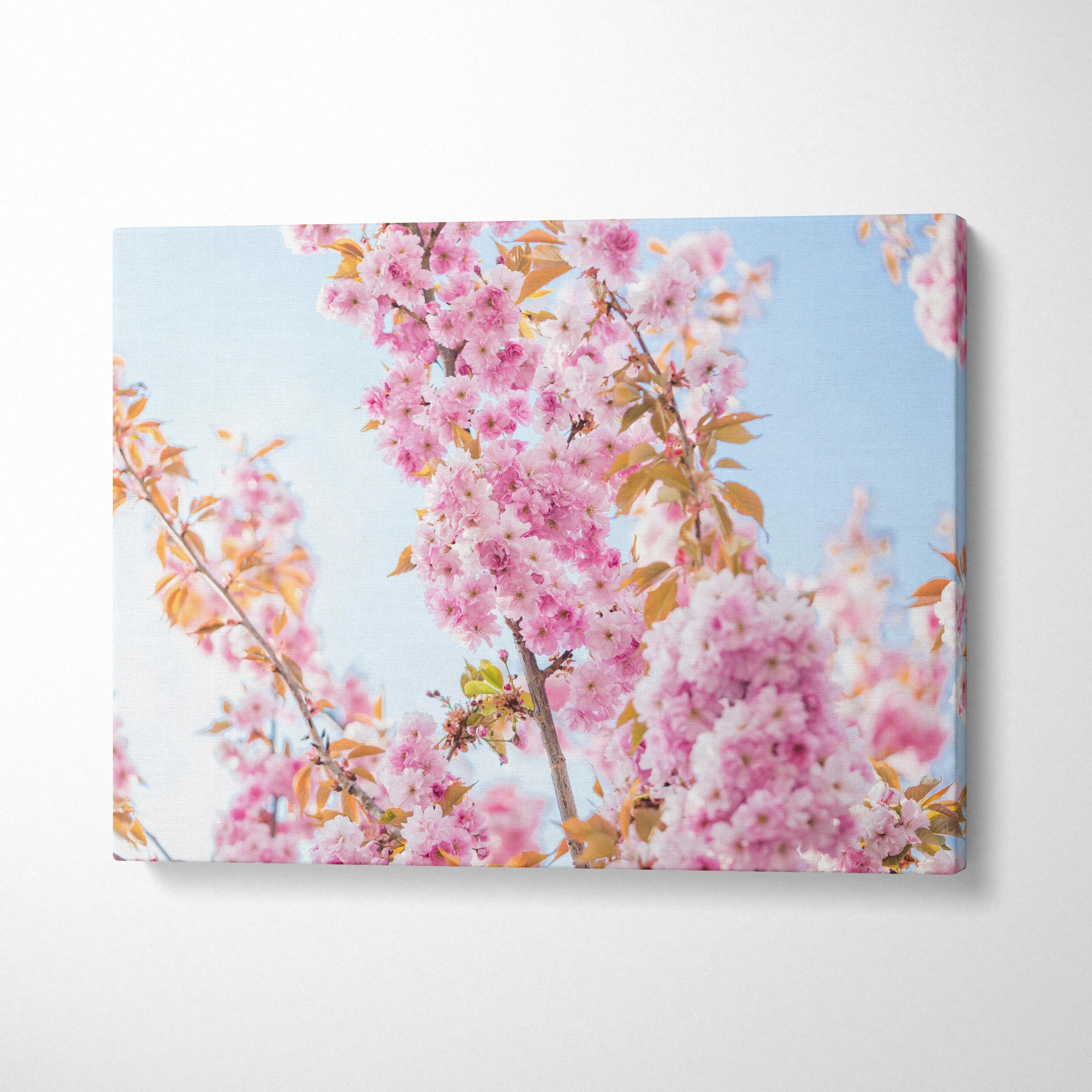 Vibrant pink cherry blossom branches canvas wall art in serene sky blues