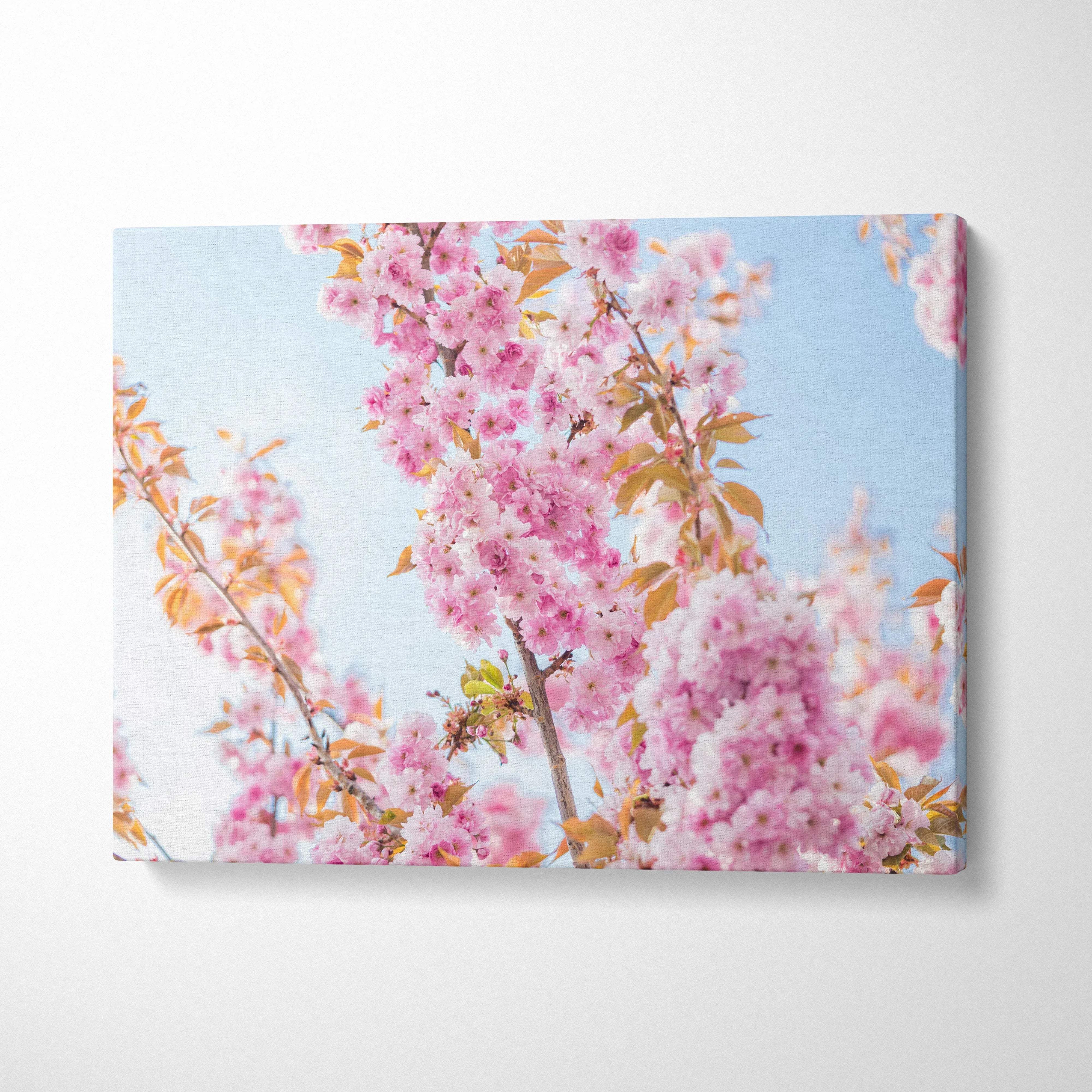 Vibrant pink cherry blossom branches canvas wall art in serene sky blues