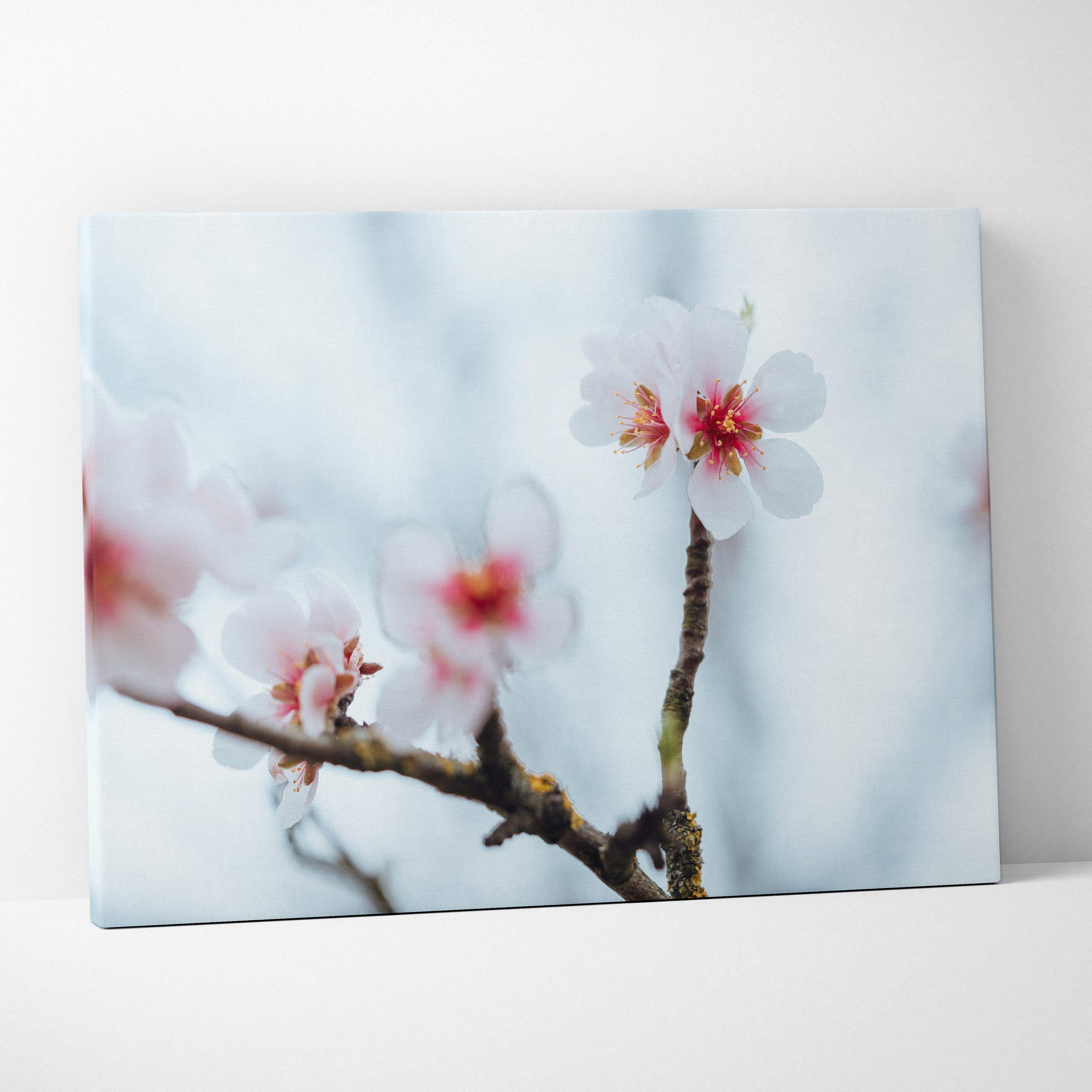 Canvas wall art of soft focus cherry blossom with branches on serene pastel blues and pink
