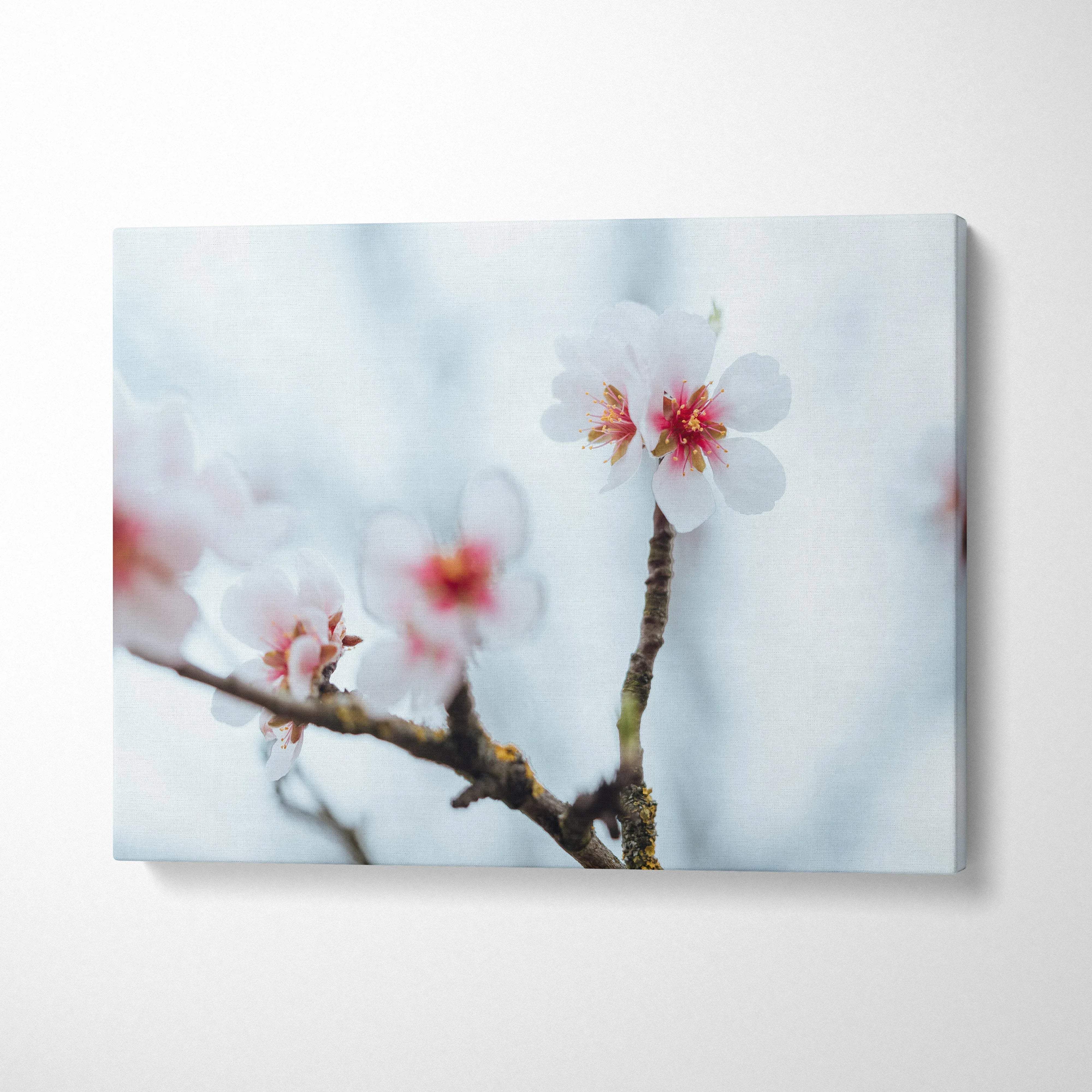 Canvas wall art of soft focus cherry blossom branches in pastel blues and pink
