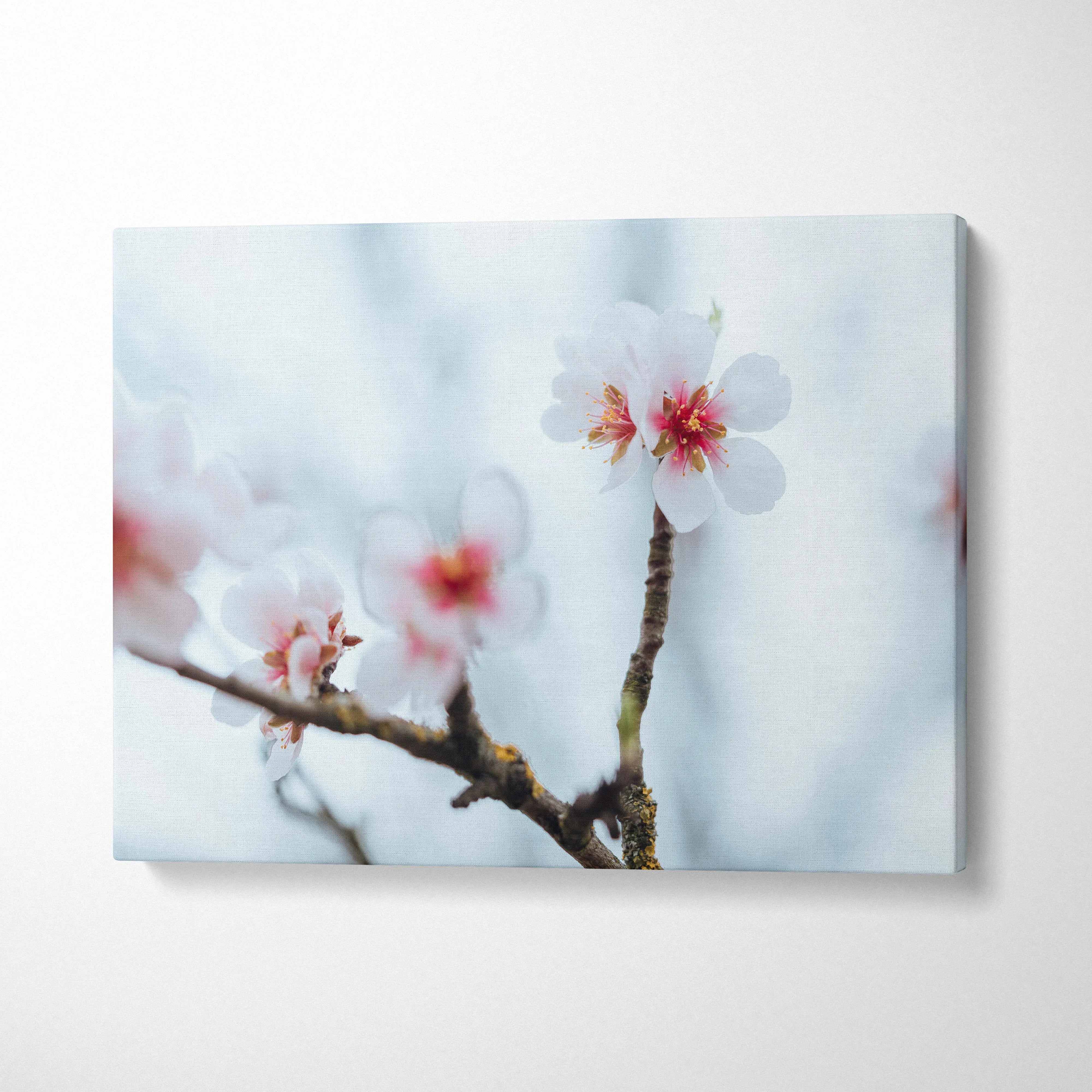 Stunning Cherry Blossom Floral Digital Wall Art Canvas Print For Home Decor