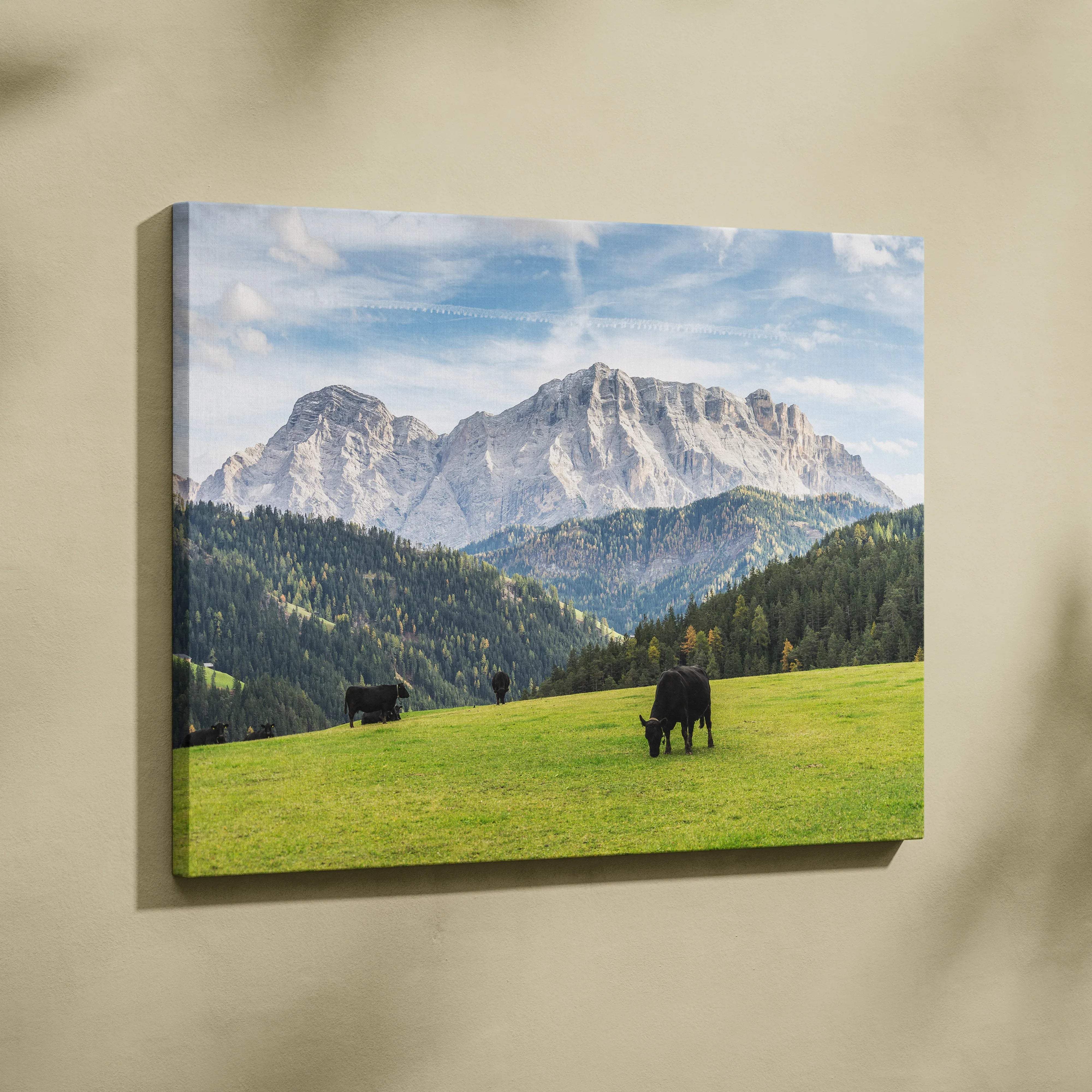 Canvas print of cows grazing in Dolomites mountain landscape meadow