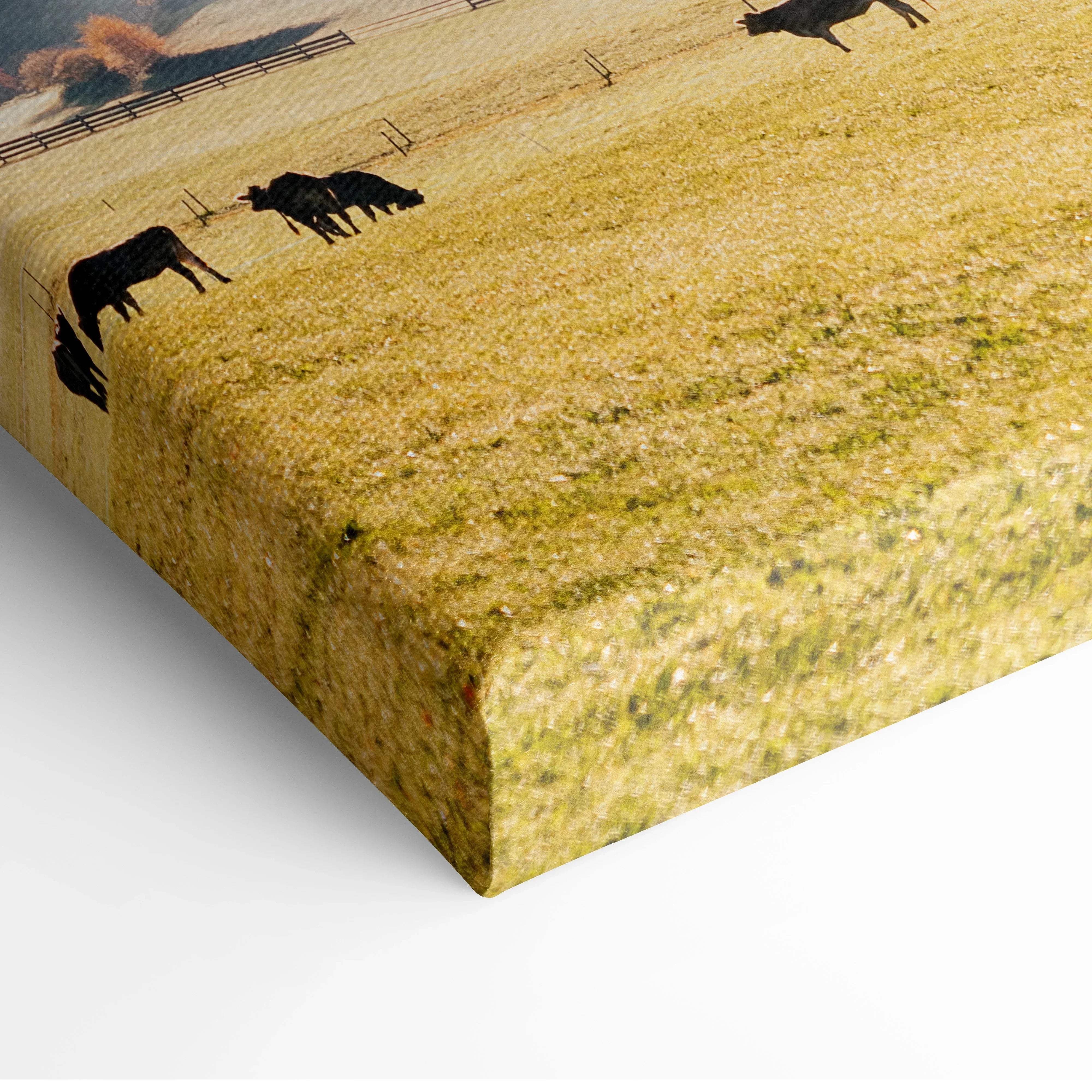 Canvas print of a pastel sunrise autumn landscape with black cattle grazing in a golden field under soft sky