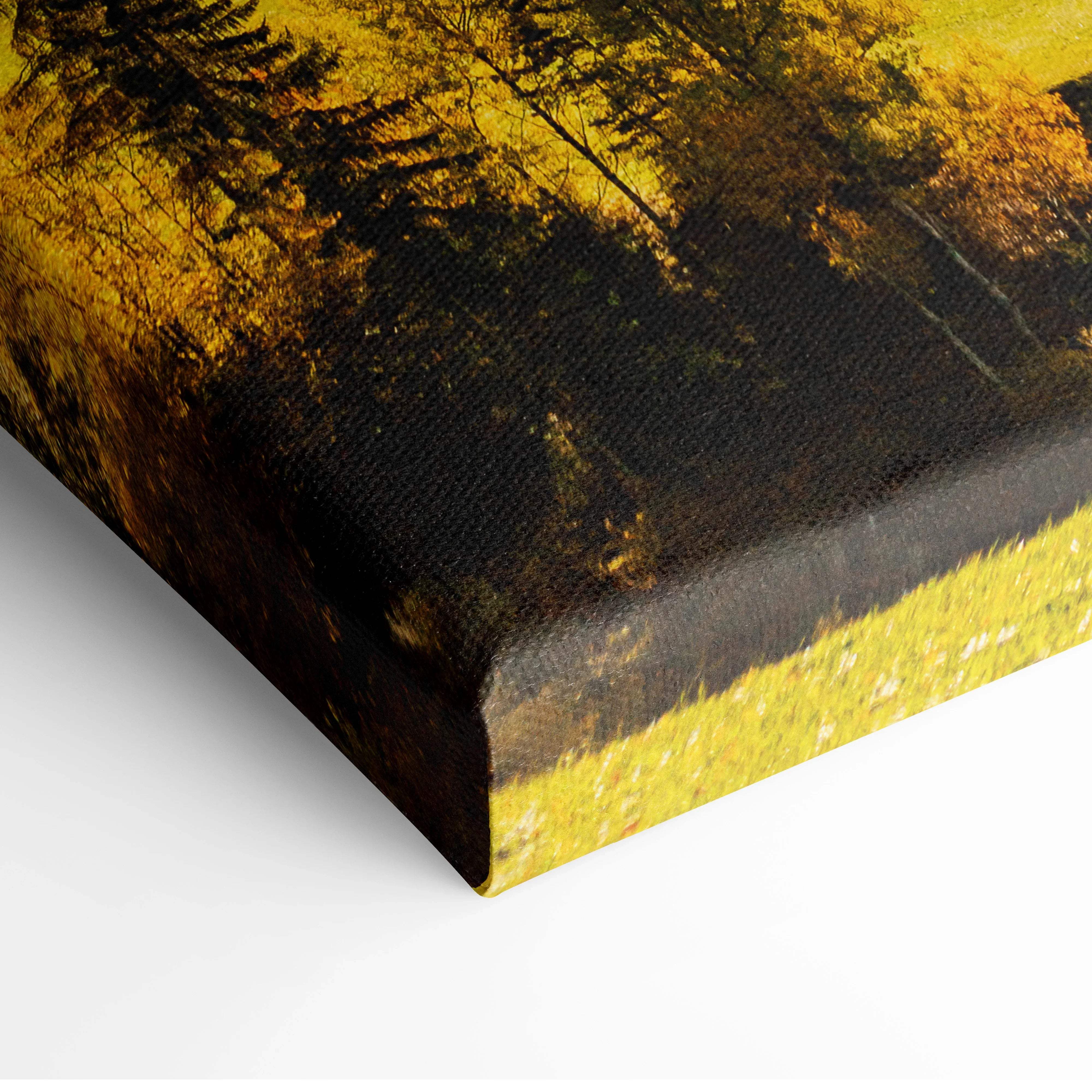 Canvas print of Val Di Funes Dolomites forest silhouetted against golden autumn foliage