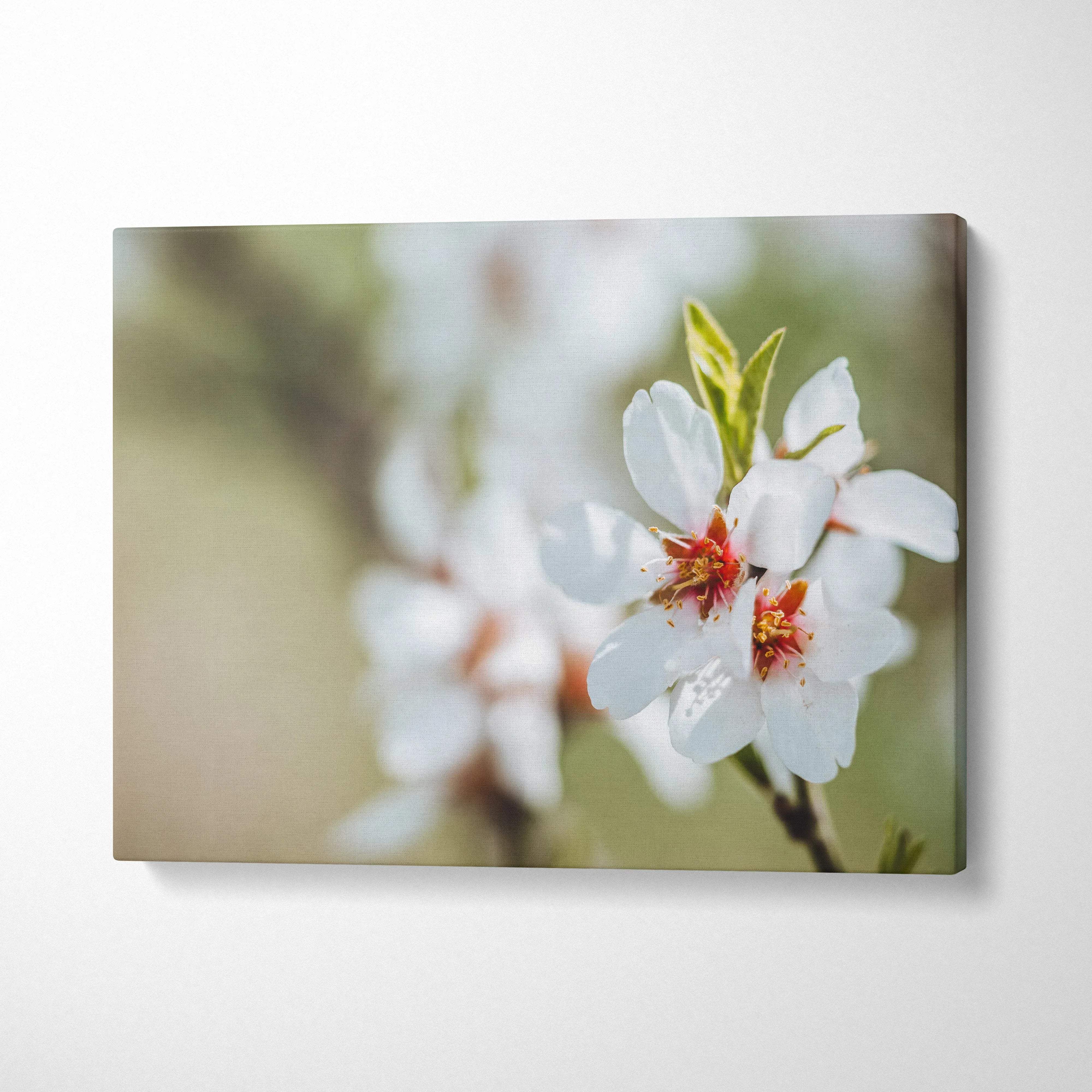 Cherry blossom floral art on high-resolution canvas wall decor with soft blurred background.