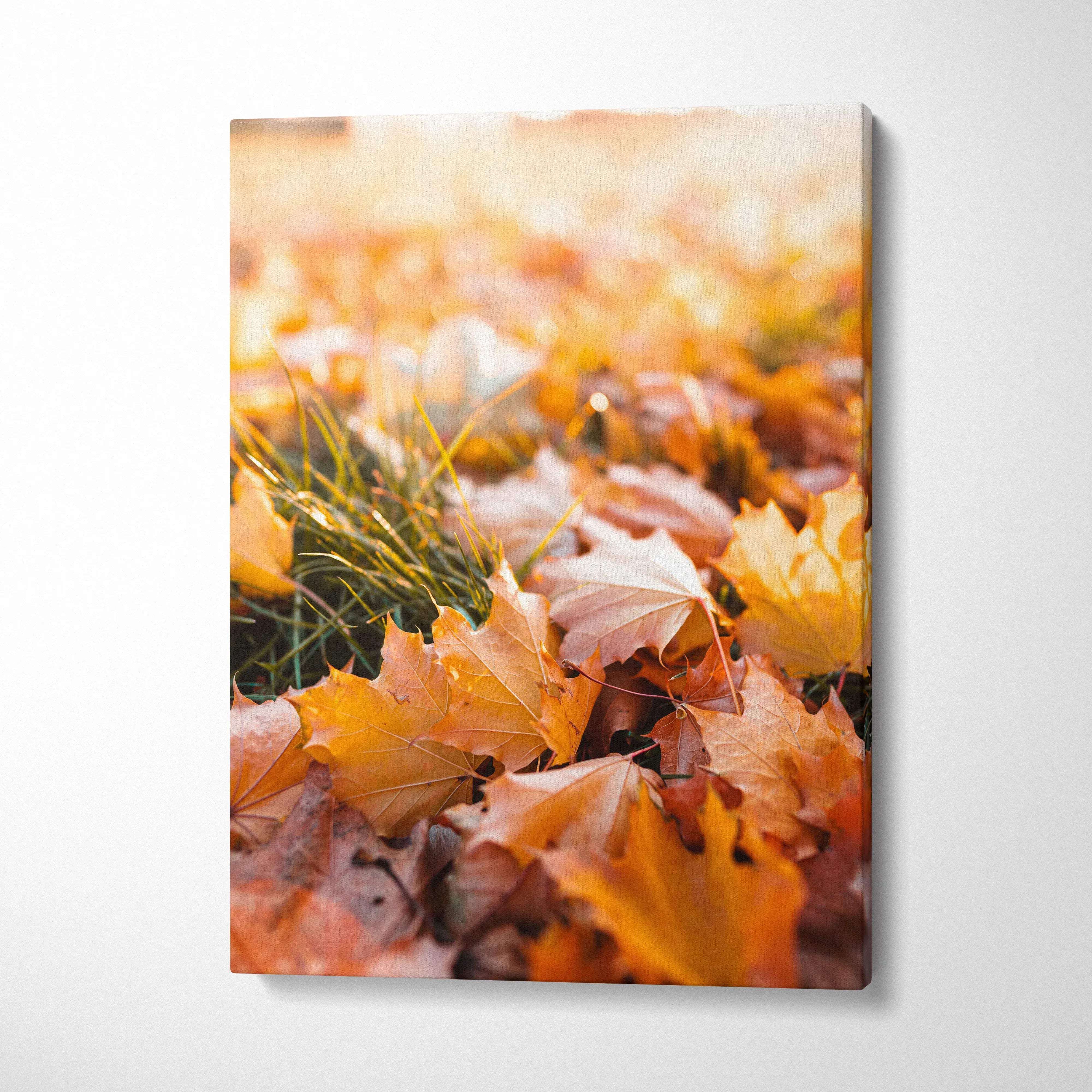 Vertical canvas wall art featuring vibrant orange and yellow autumn leaves on the ground.