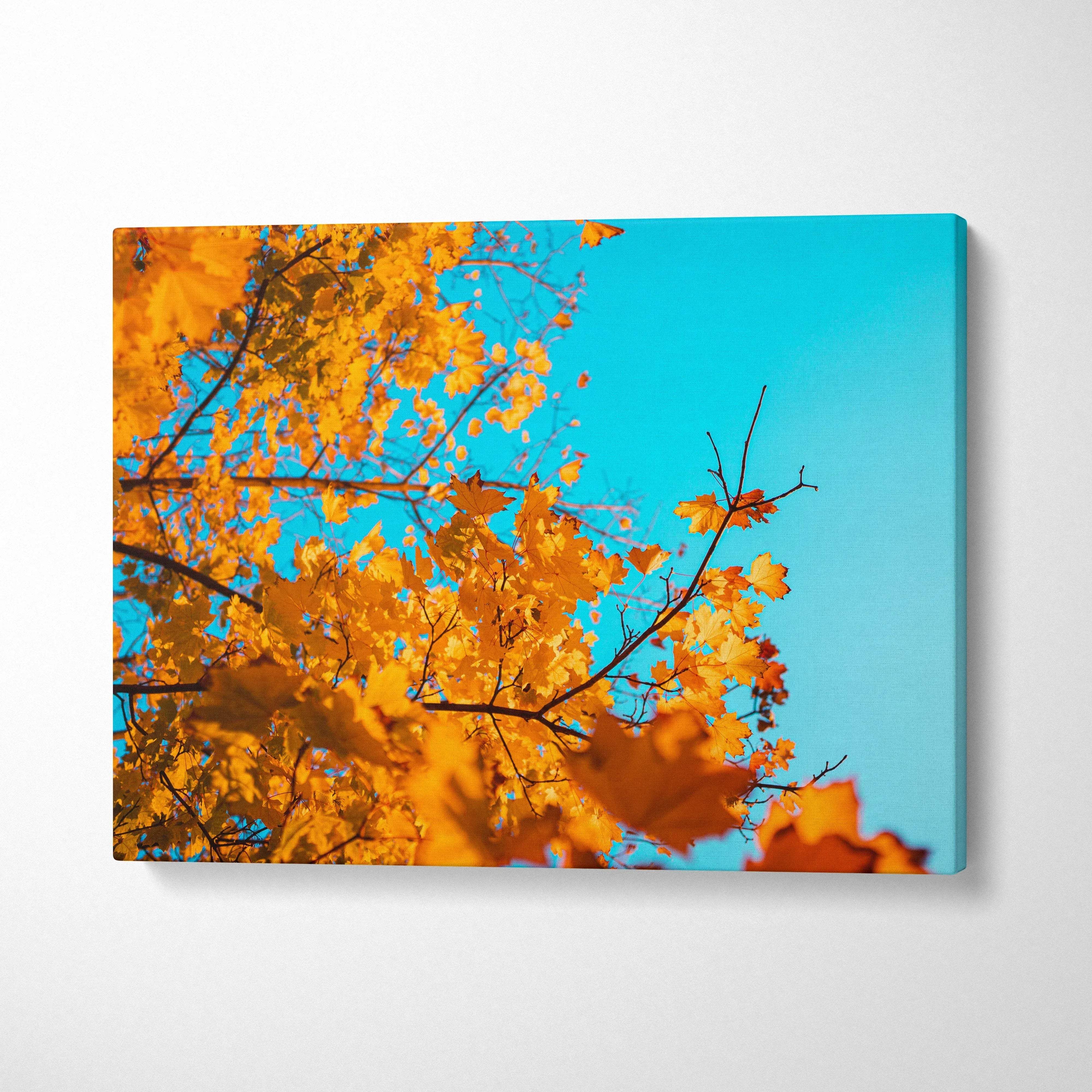 Canvas art featuring golden autumn leaves against a bright blue sky, warm fall wall art.