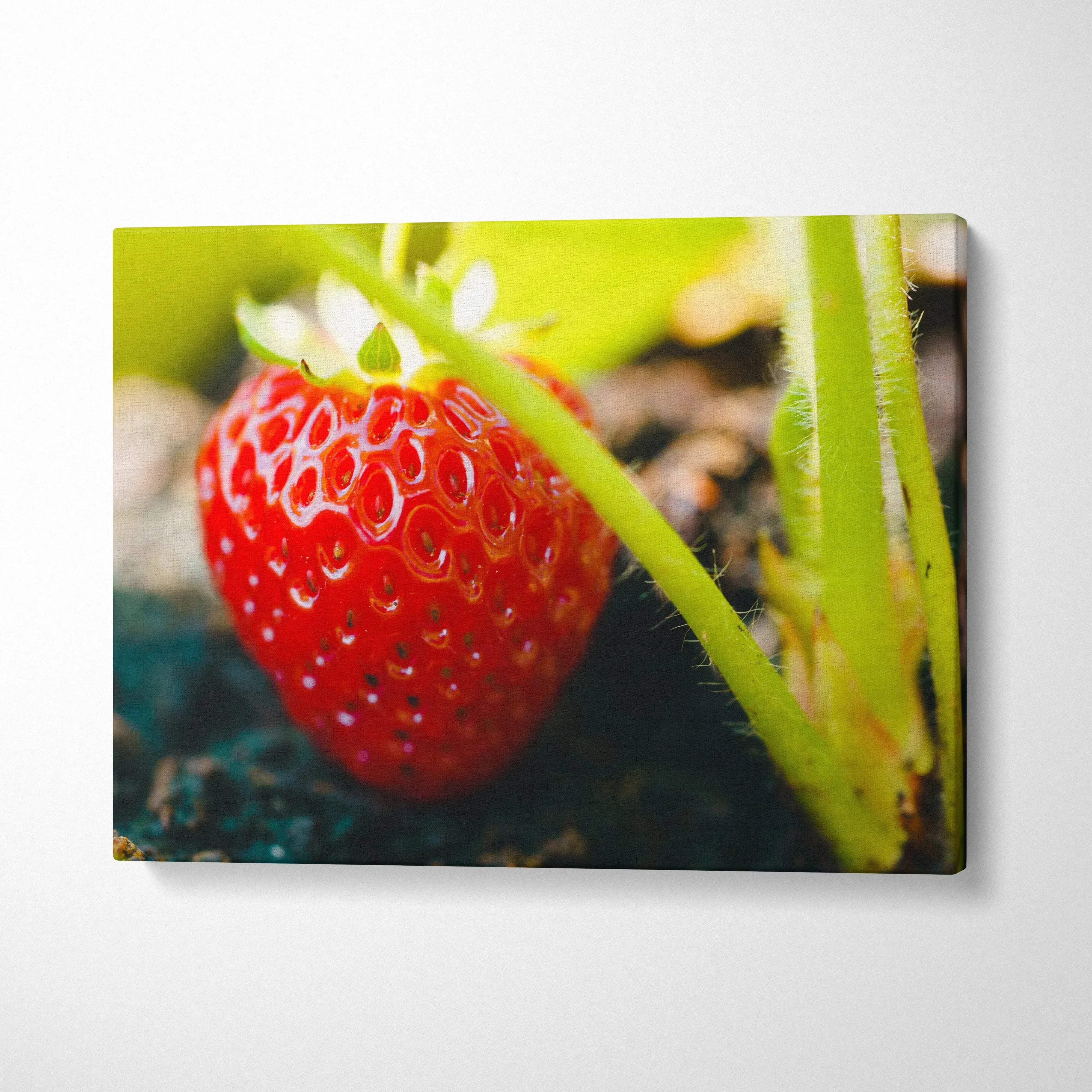 Vibrant strawberry close-up on canvas wall art with juicy red fruit and green stem decor.