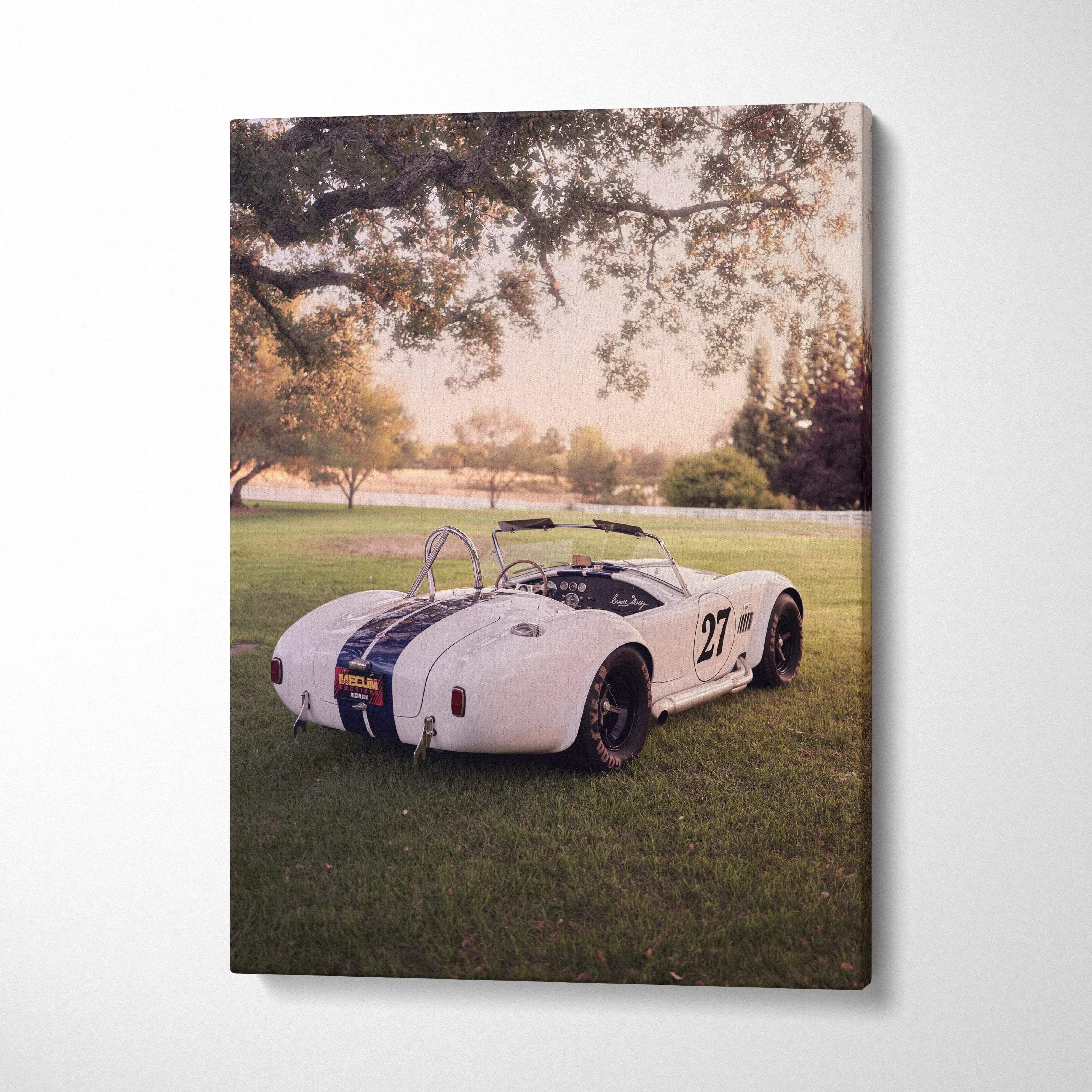 Shelby Cobra vintage race car on grass in outdoor setting vertical canvas wall art.