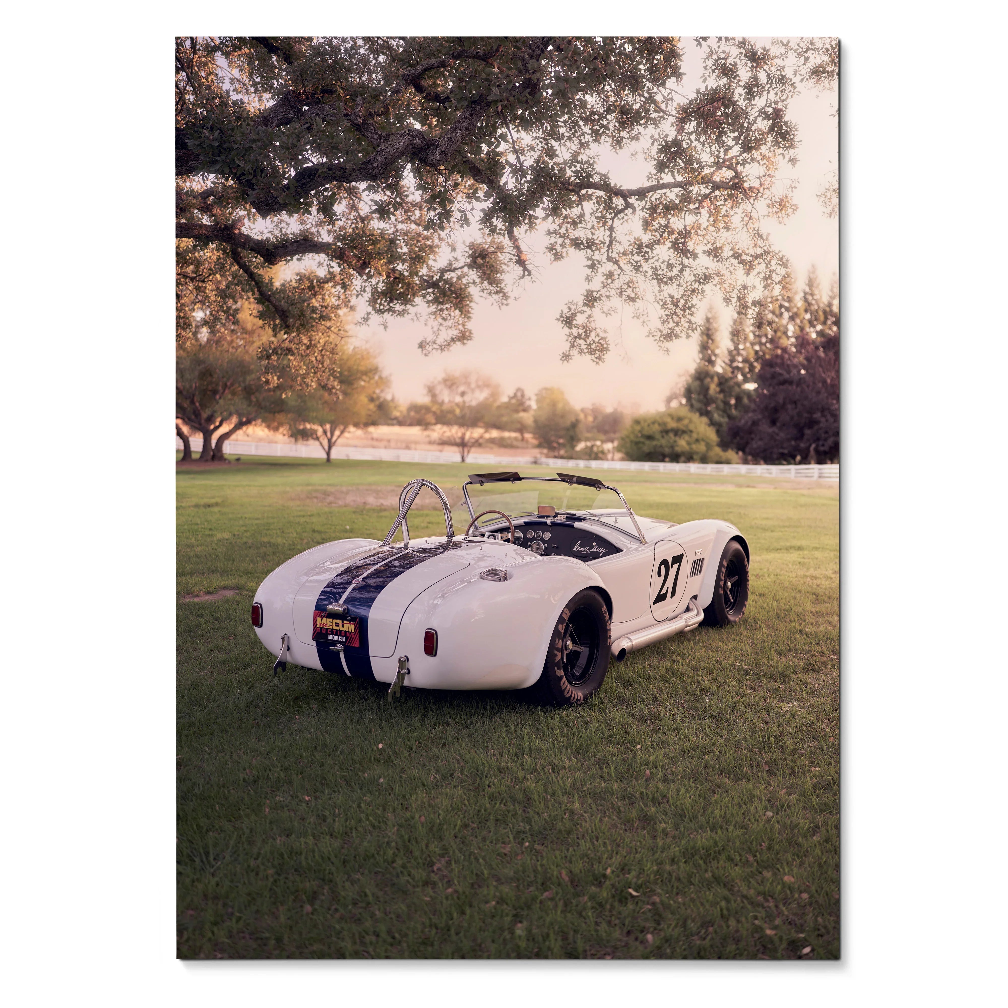Vintage Shelby Cobra car on grass under large tree at sunset poster wall art.