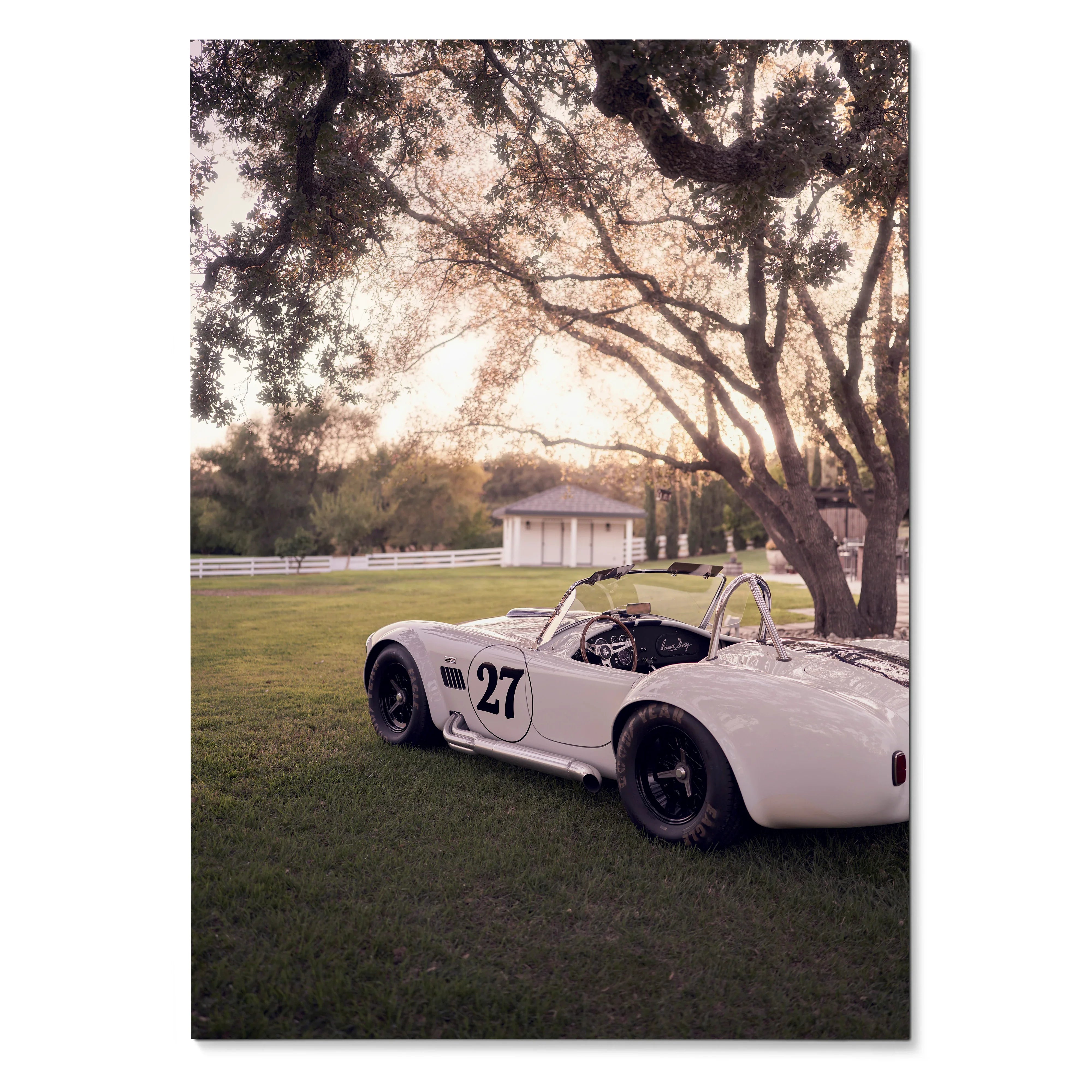Shelby Cobra race car numbered 27 parked on grass under large trees at sunset poster wall art.