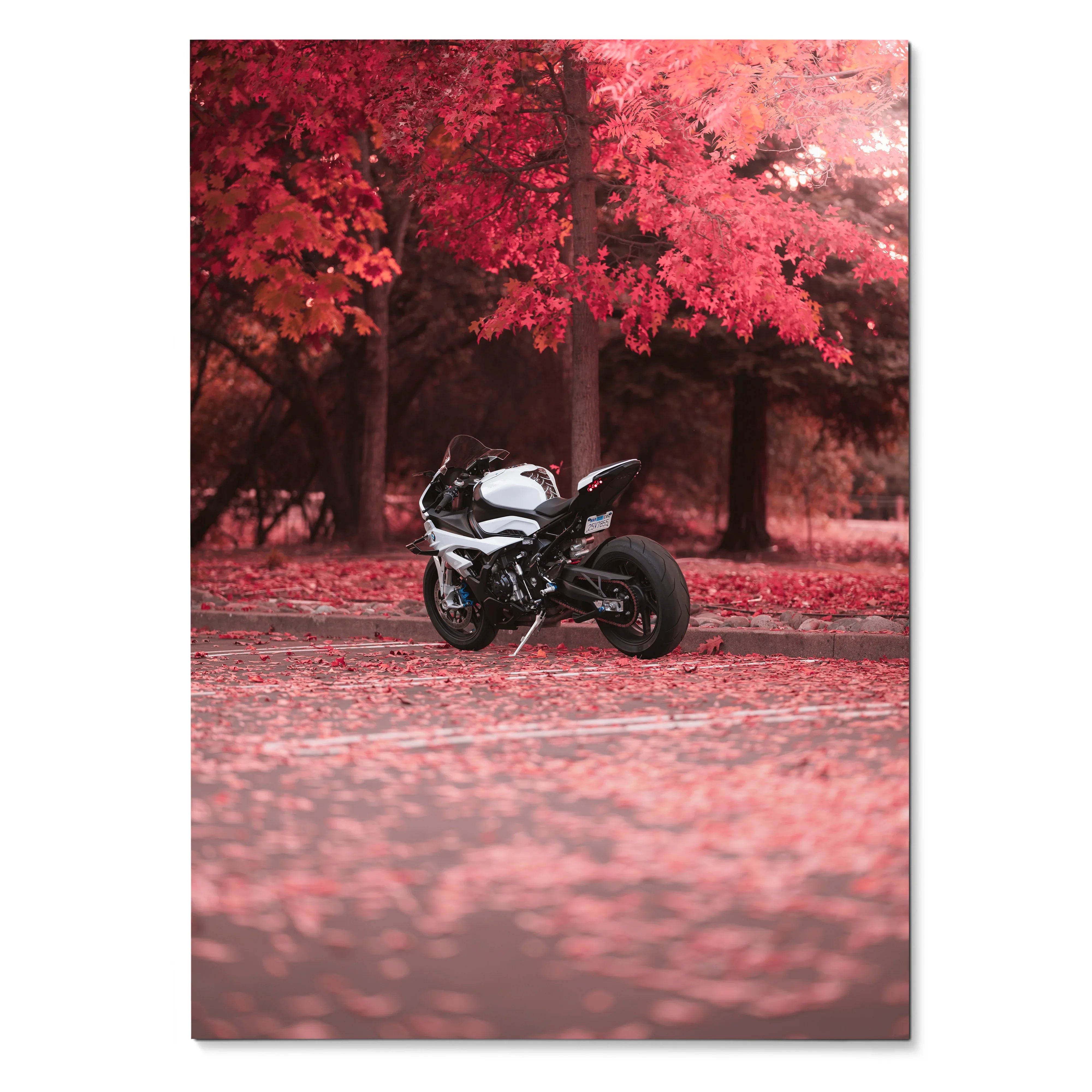 Black BMW S1000RR motorcycle parked under vibrant red autumn trees poster wall art.