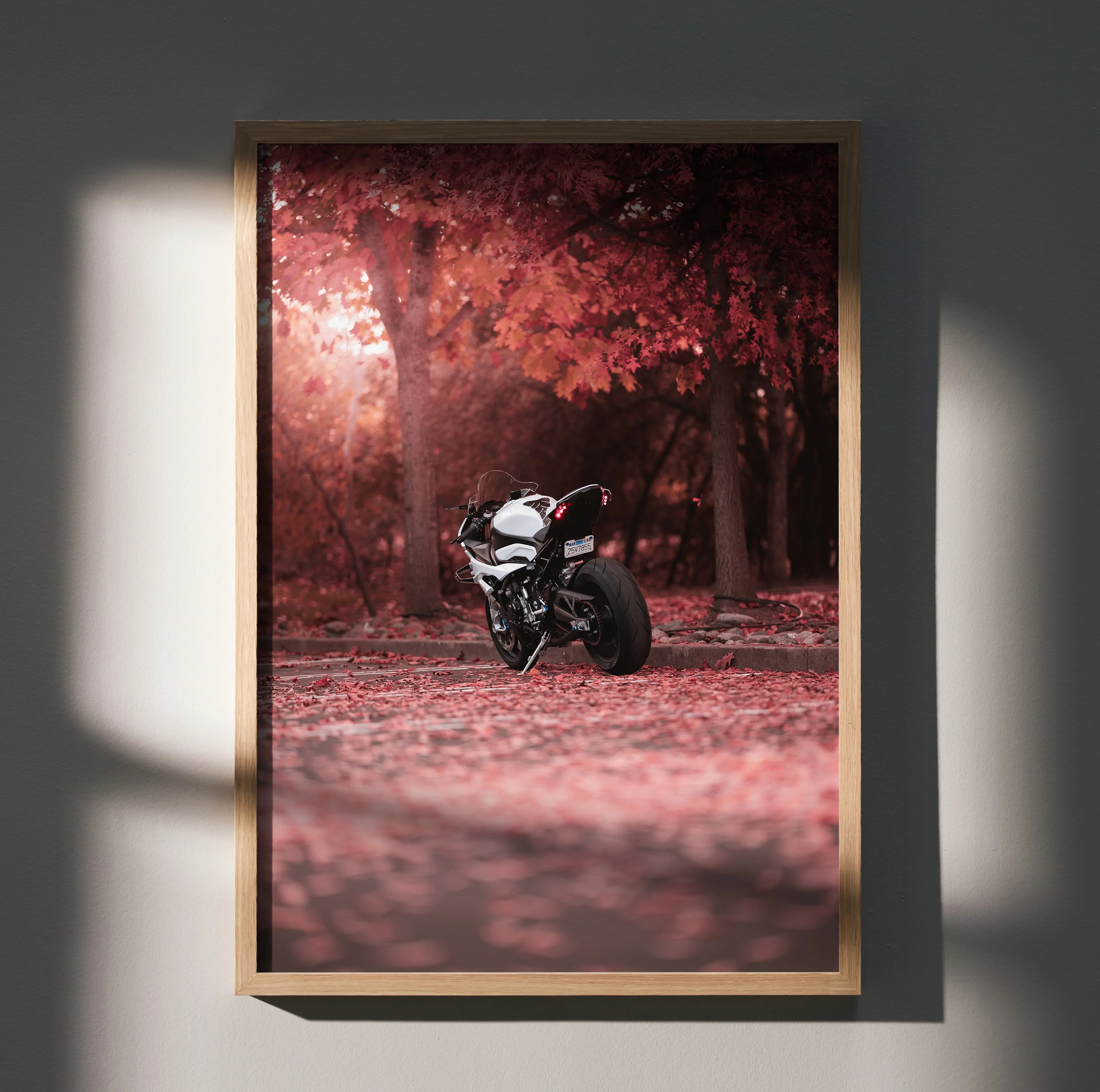 BMW S1000RR motorcycle poster with vibrant red autumn forest background wall art.