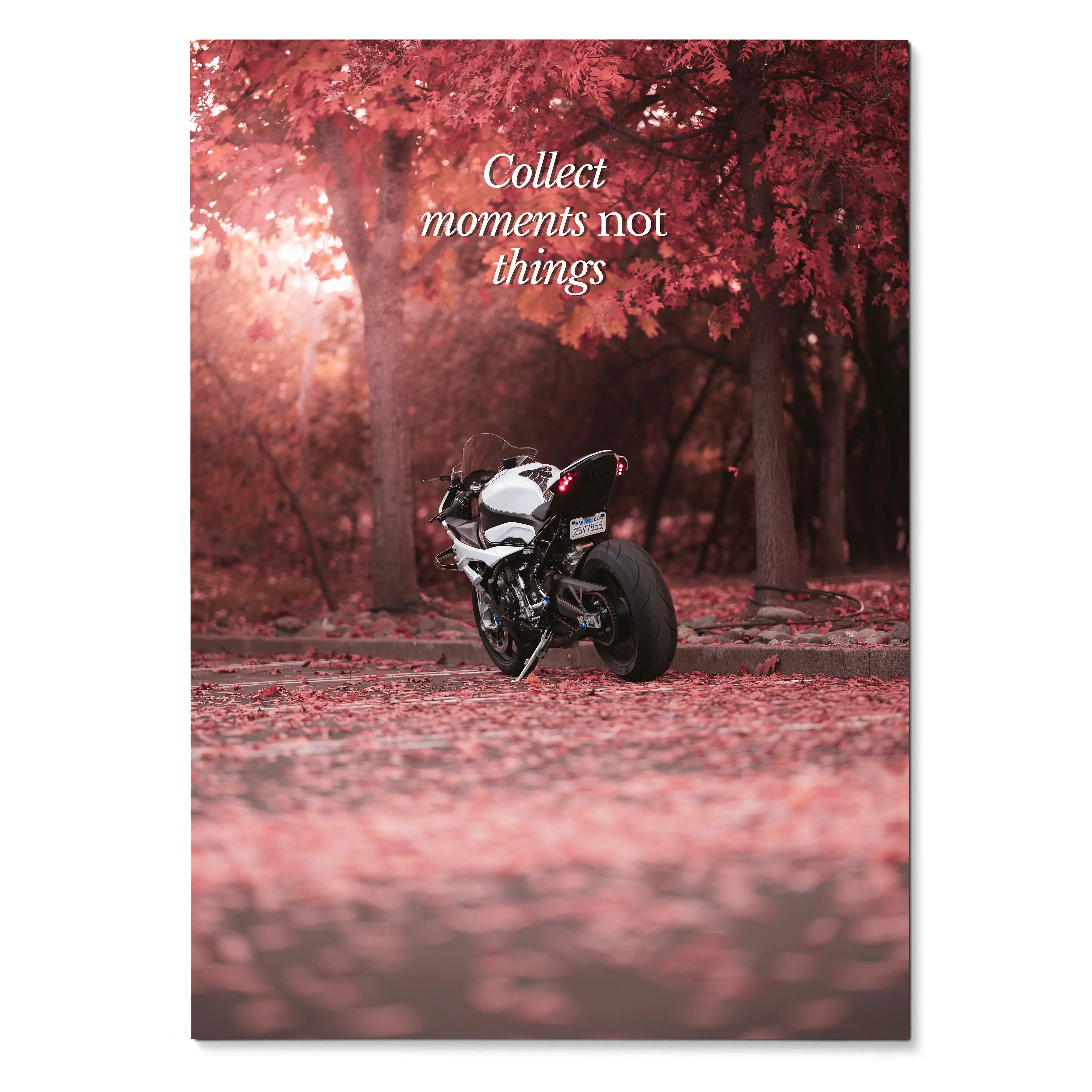 Motivational poster wall art with BMW S1000RR motorcycle in autumn forest and inspiring text.