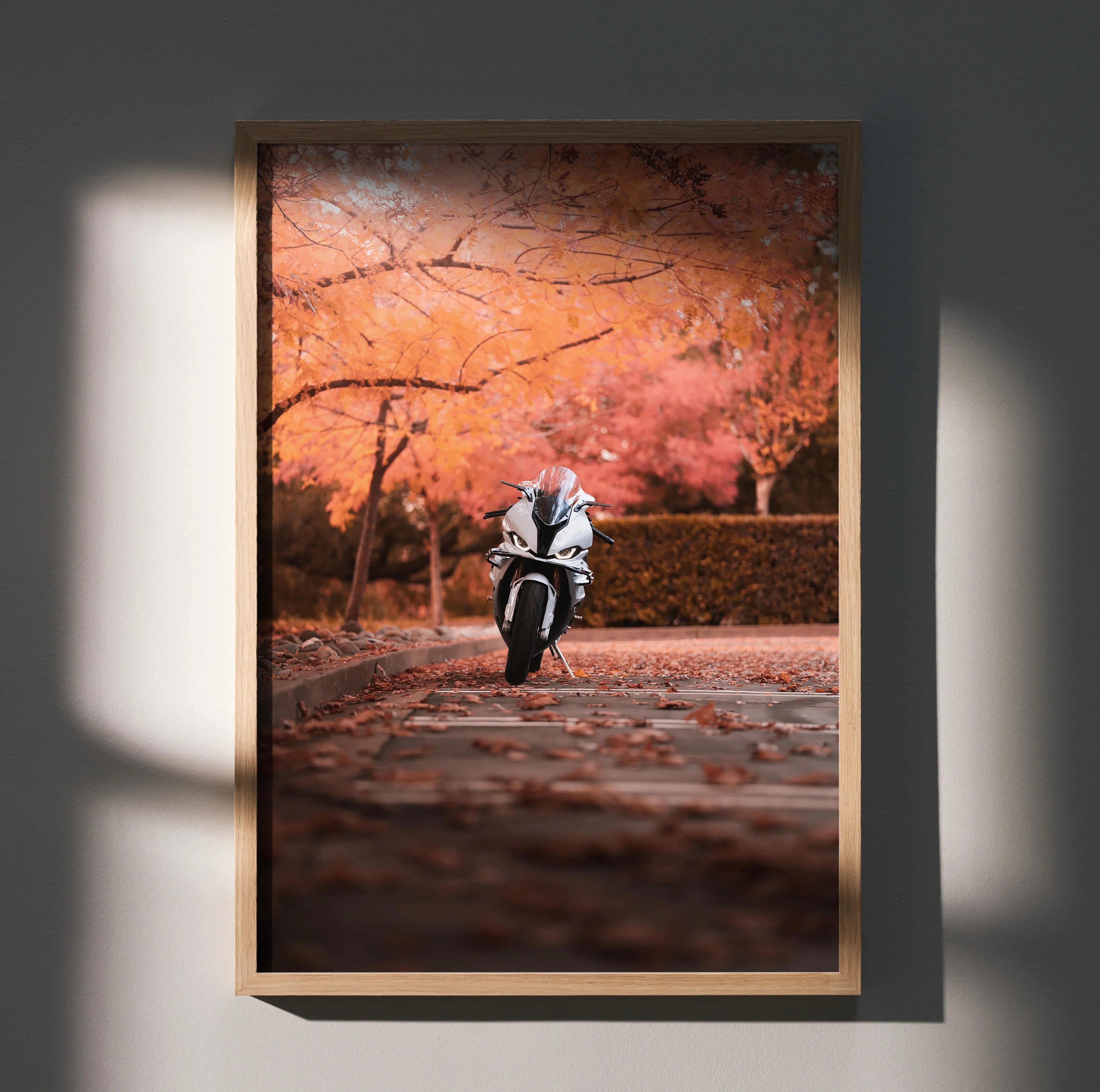 BMW S1000RR motorcycle poster with autumn trees background, premium wall art print.