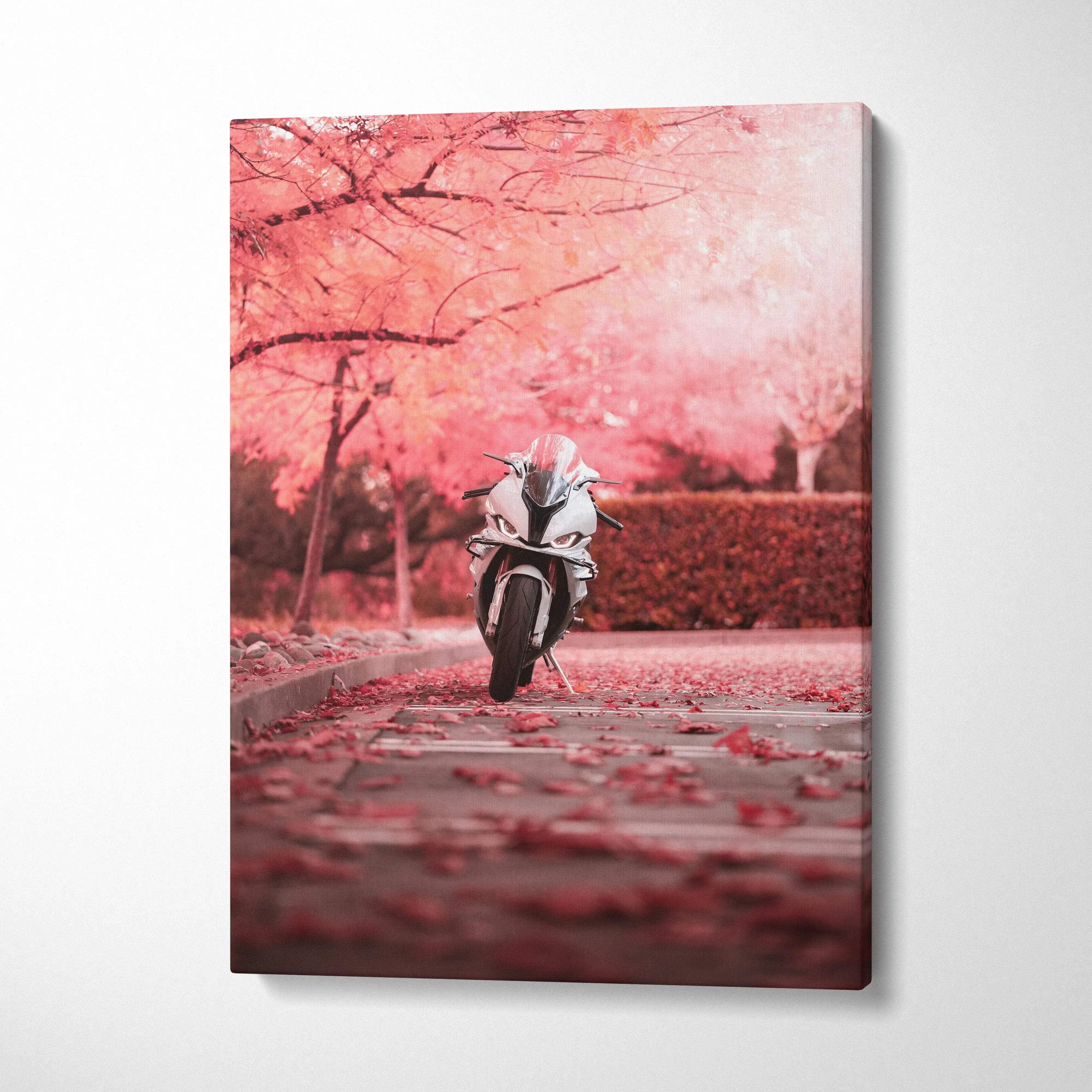 Vertical canvas wall art featuring a white BMW S1000RR motorcycle under pink cherry blossom trees.