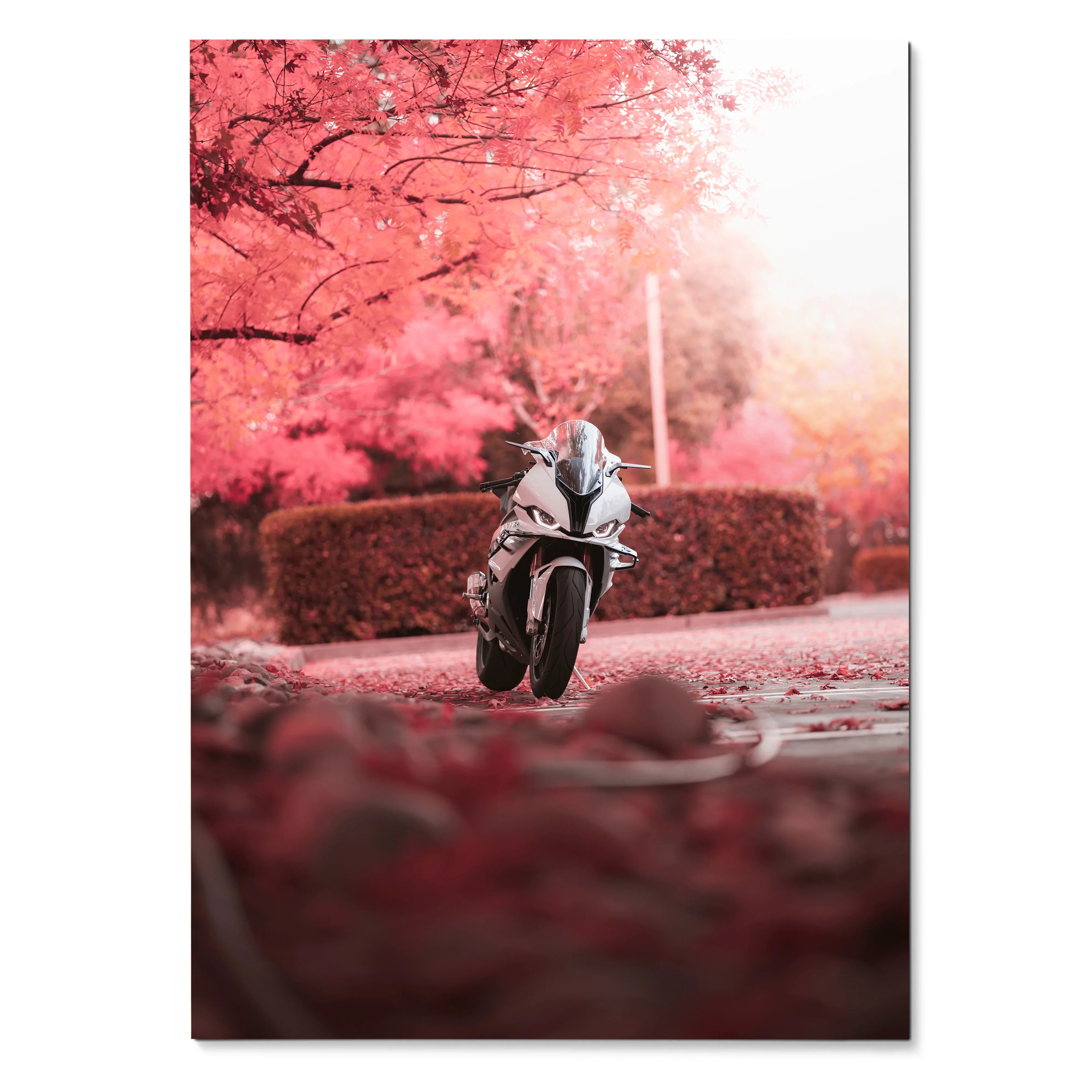BMW S1000RR motorcycle poster with pink autumn trees, dynamic wall art for enthusiasts.
