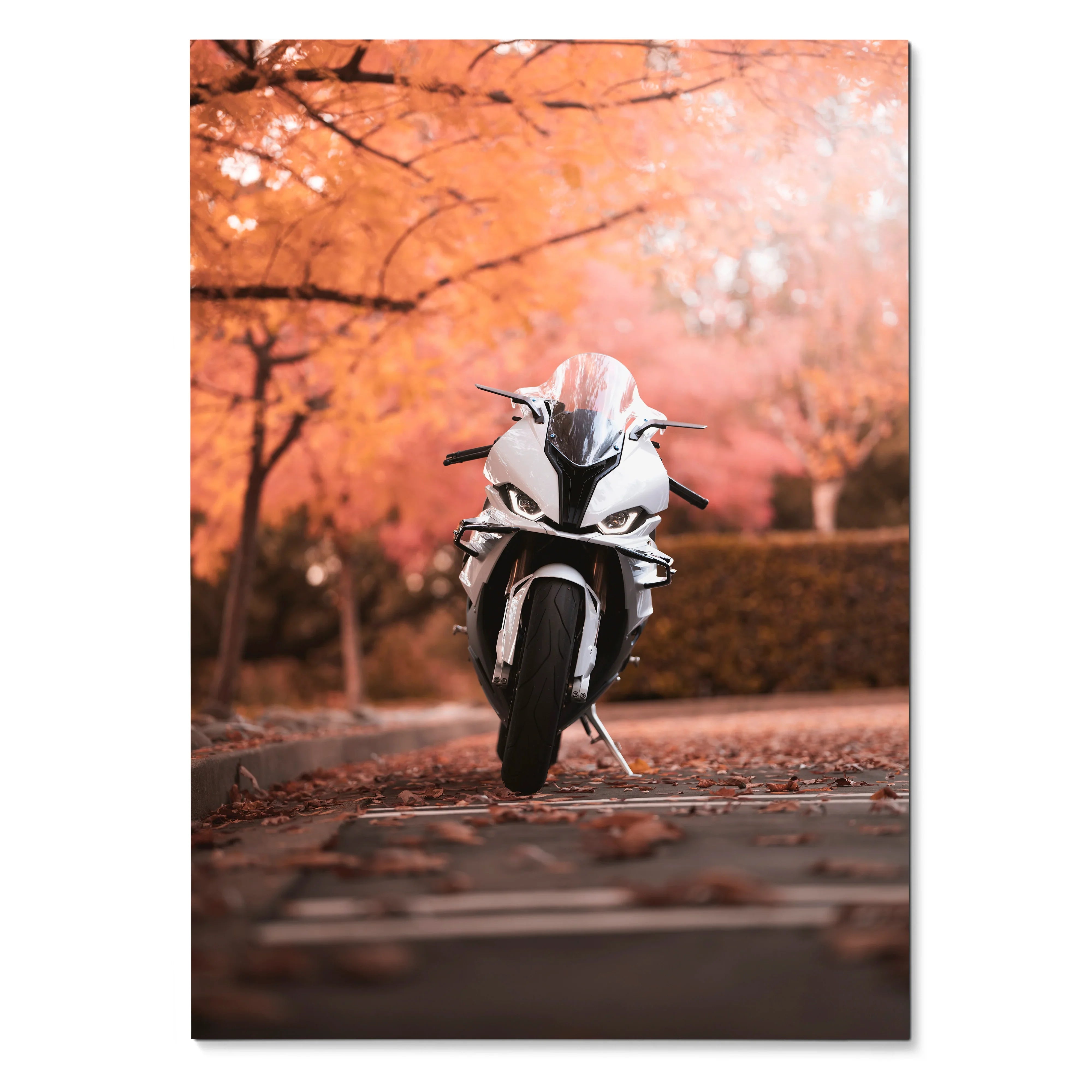 BMW S1000RR motorcycle poster with white bike framed by pink autumn trees wall art.