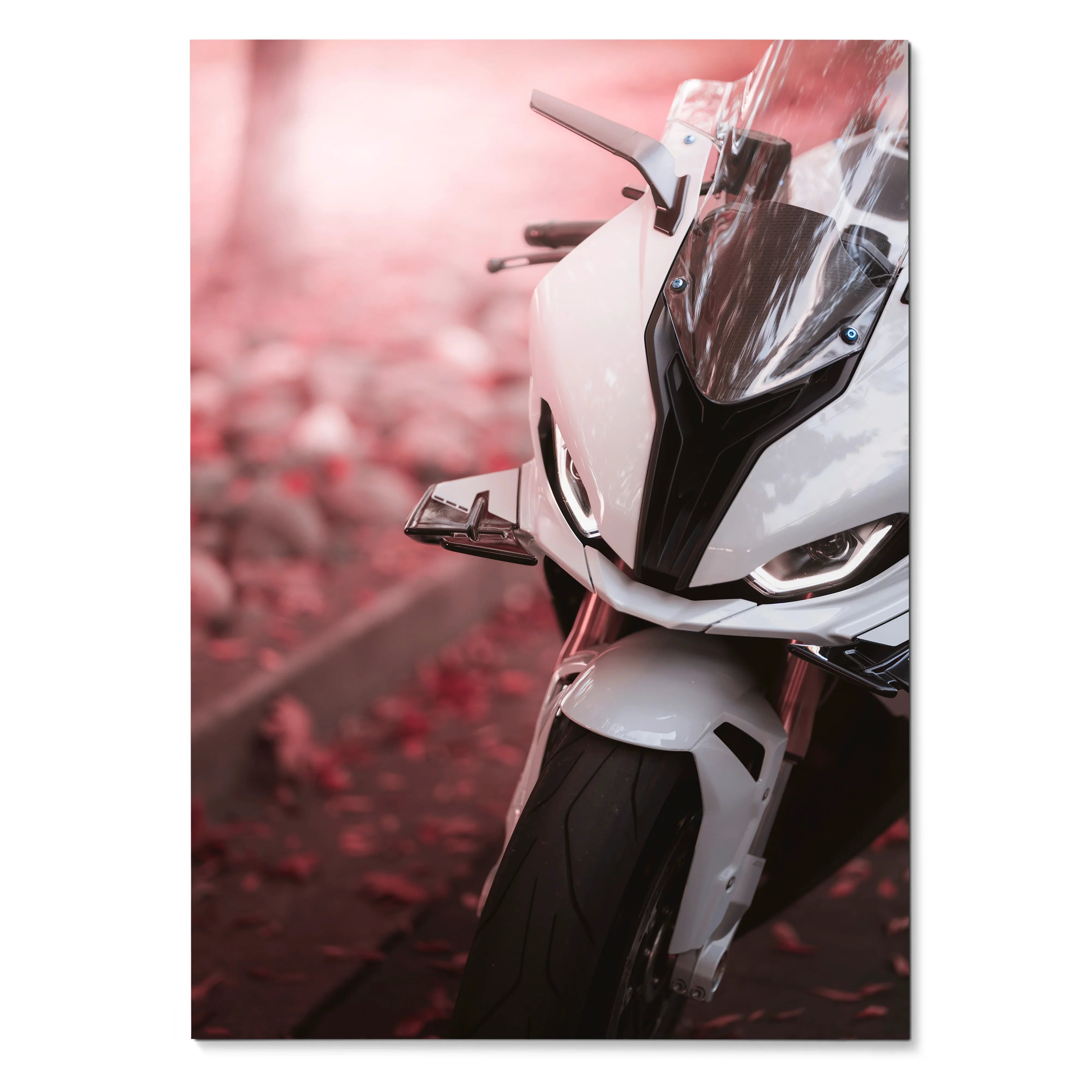 BMW S1000RR motorcycle front close-up poster with white sportbike detail and red autumn leaves wall art.