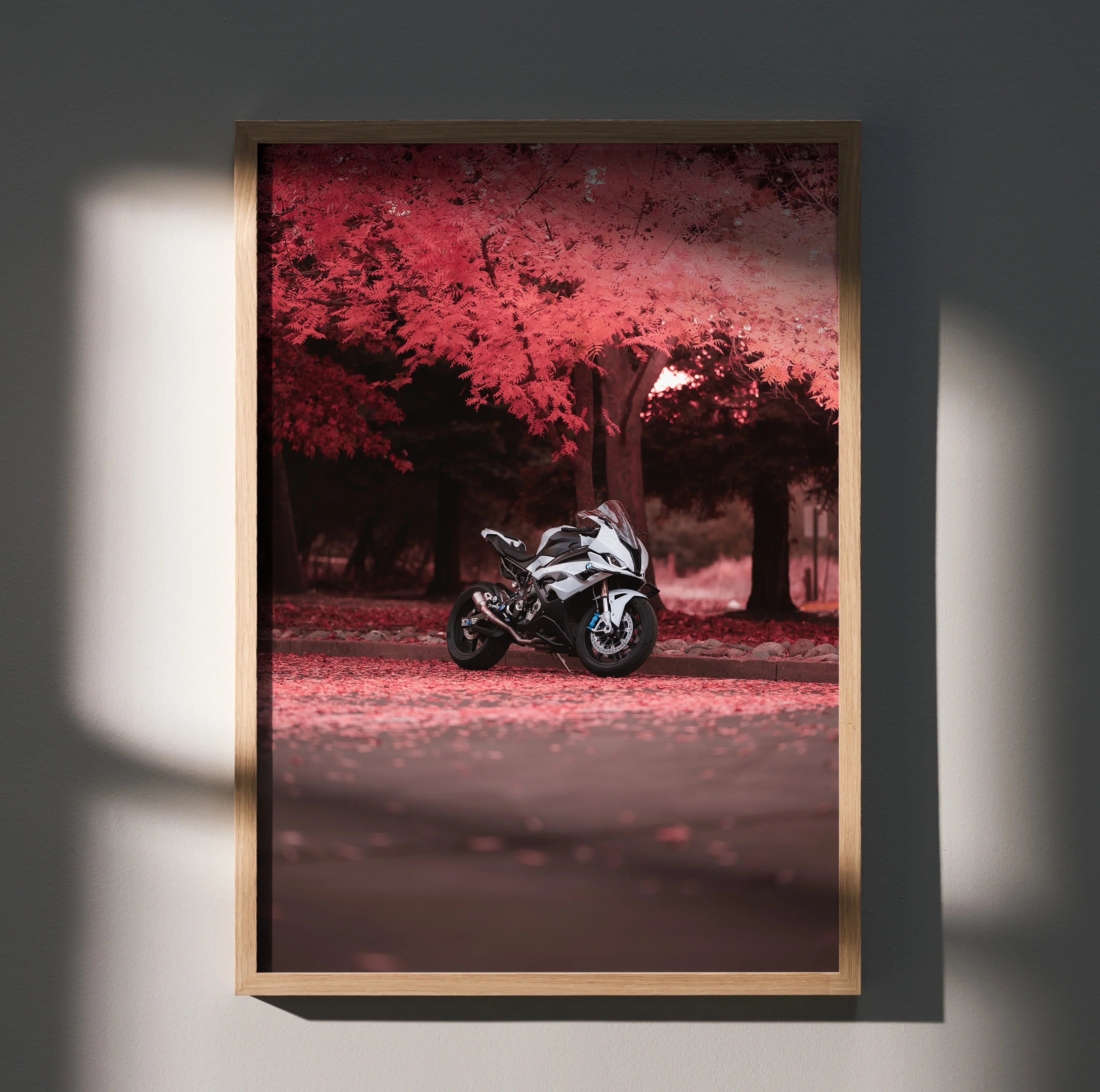 BMW S1000RR motorcycle poster with red autumn trees background wall art.