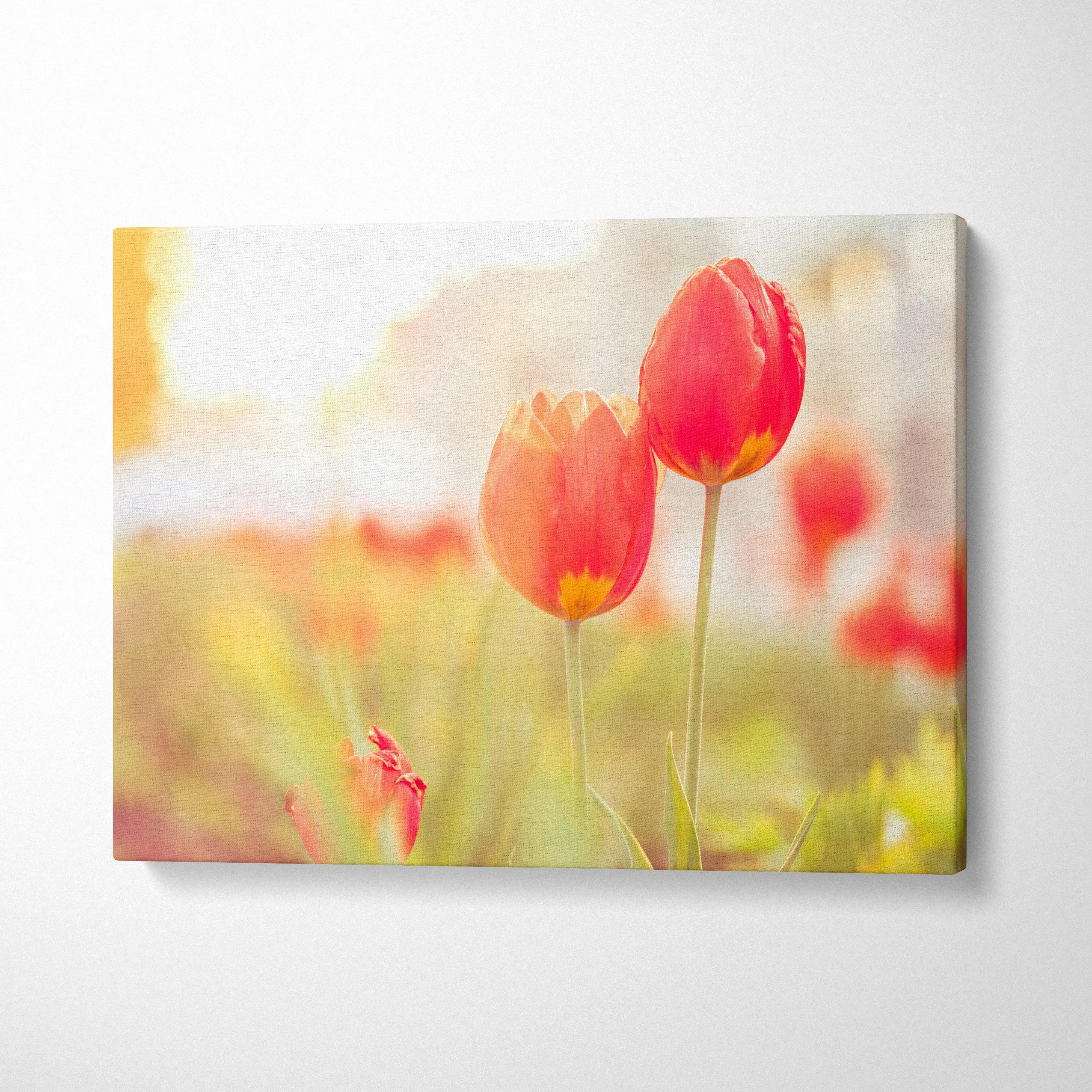 Red tulips close-up on canvas wall art with soft glowing background for elegant decor.