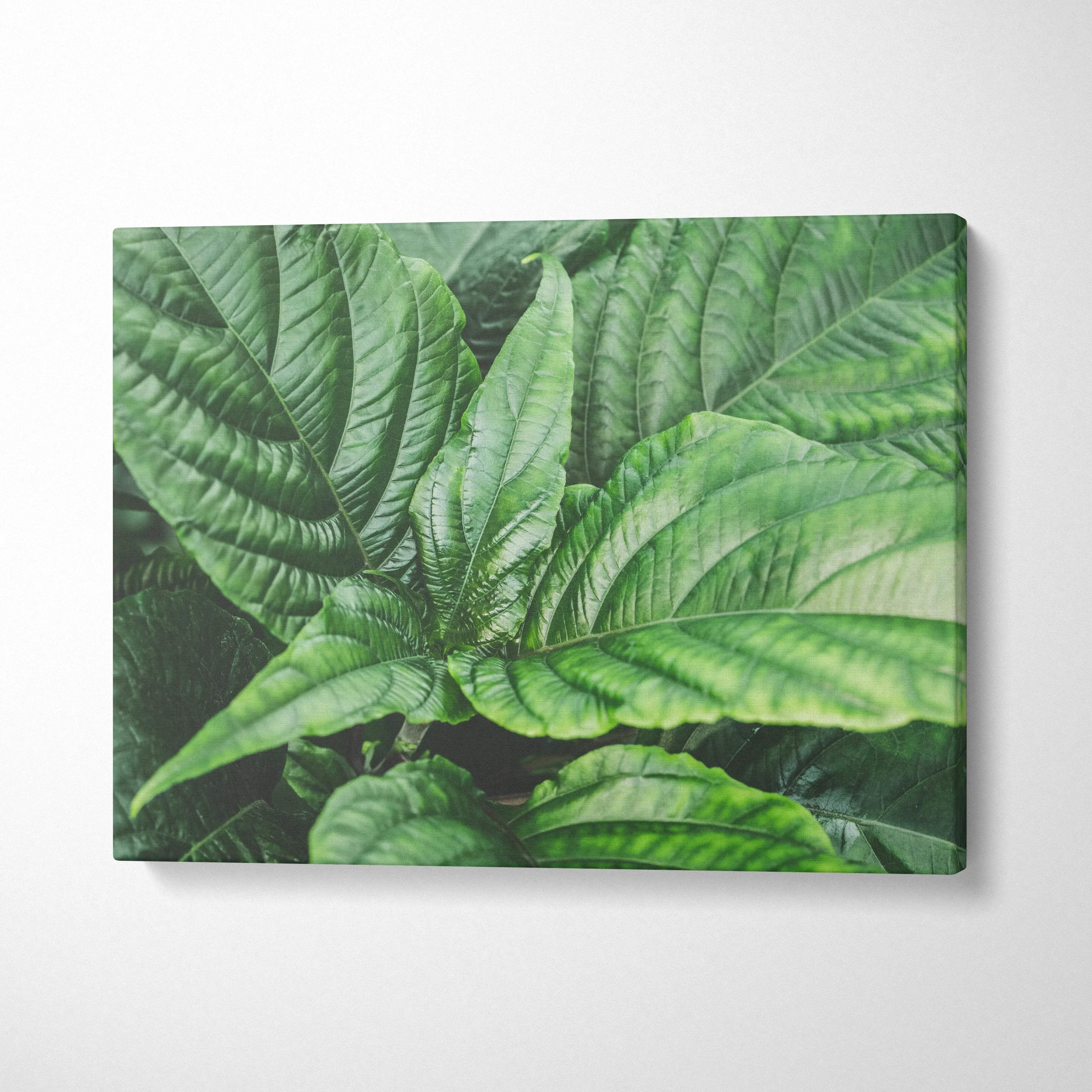 Green leafy botanical canvas wall art with detailed textured foliage decor.