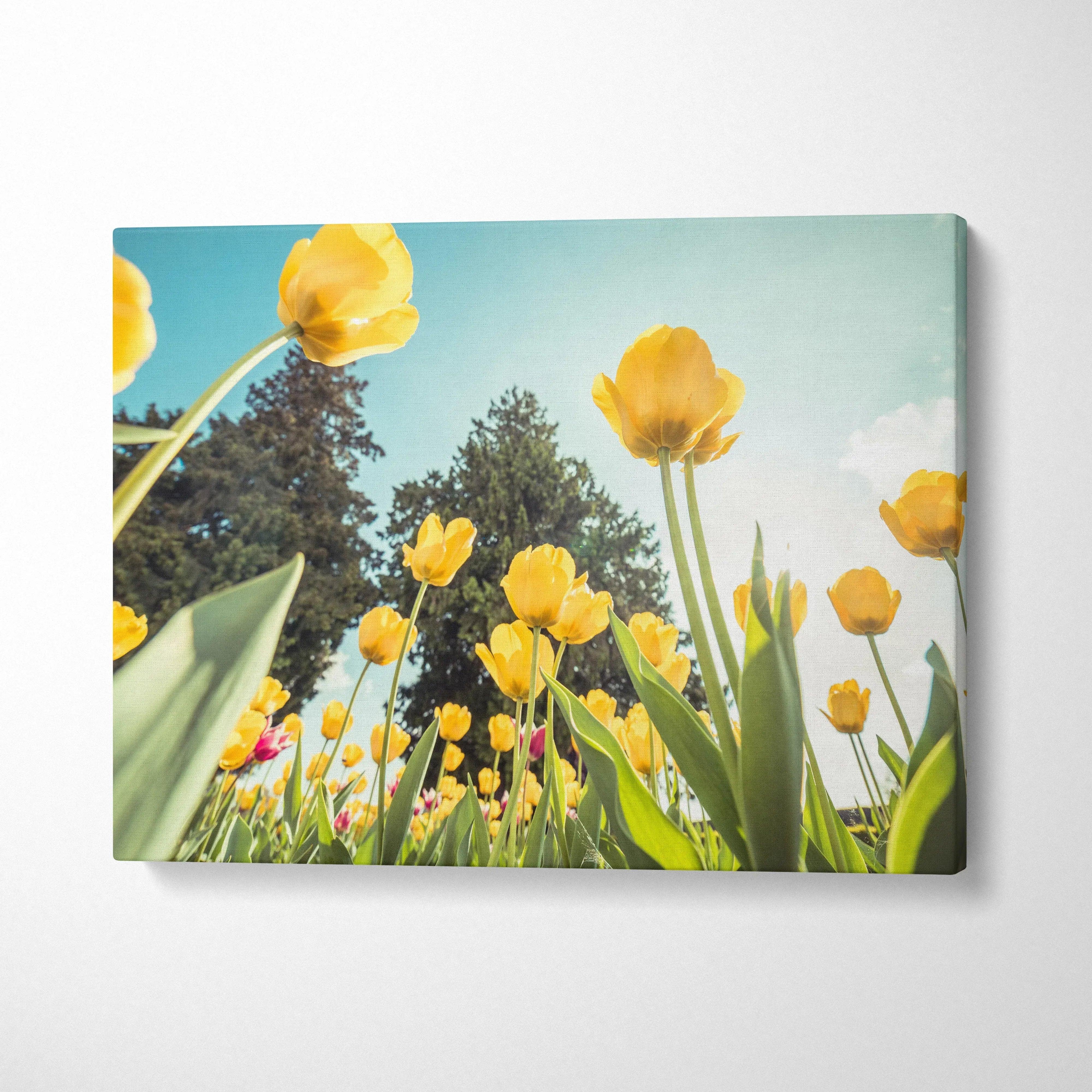 Yellow tulip floral canvas wall art with bright sky and green foliage decor.