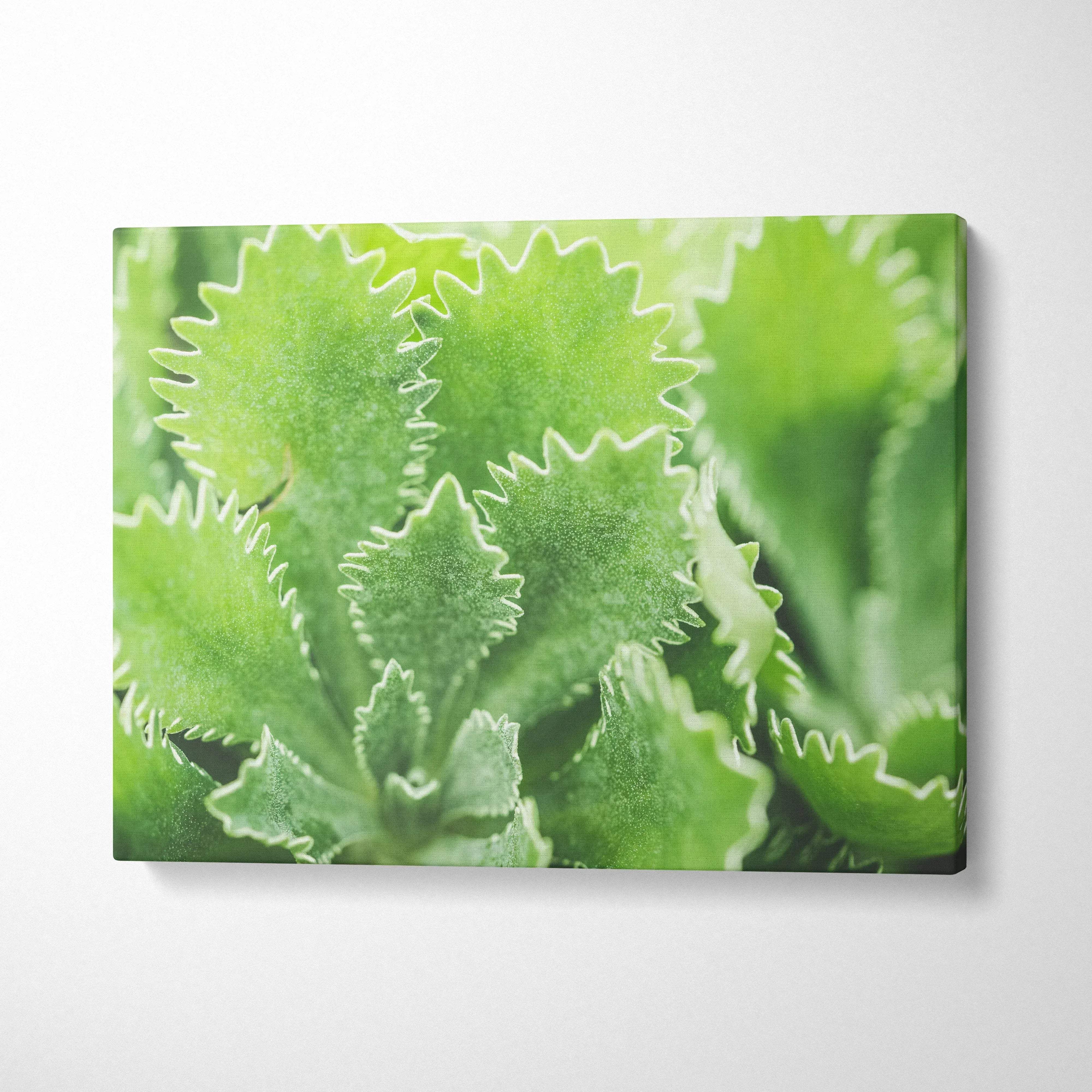Vibrant green leaves close-up on canvas wall art with soft-focused natural background decor.