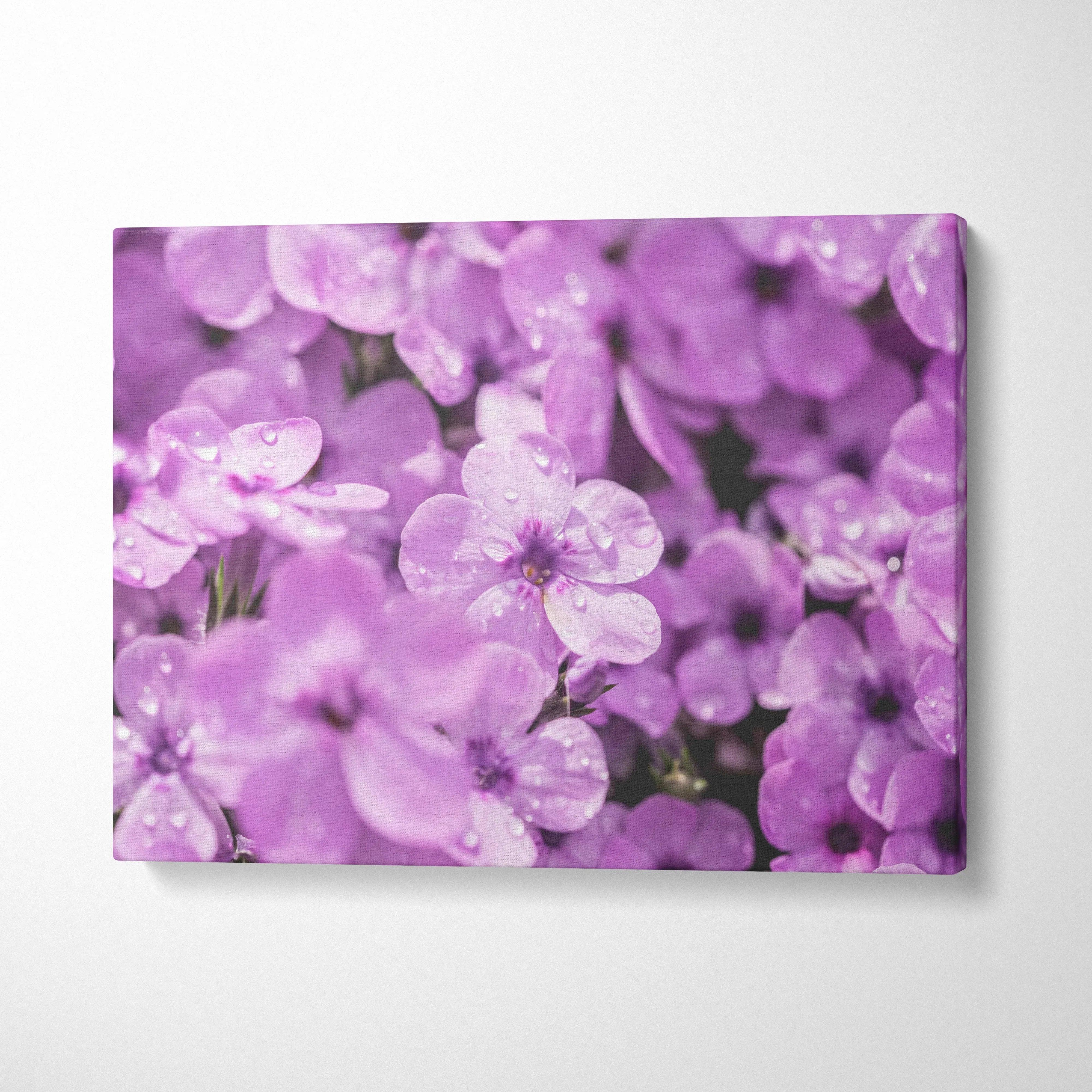 Purple floral canvas wall art featuring blooming flowers with soft petals and dew drops for elegant decor.
