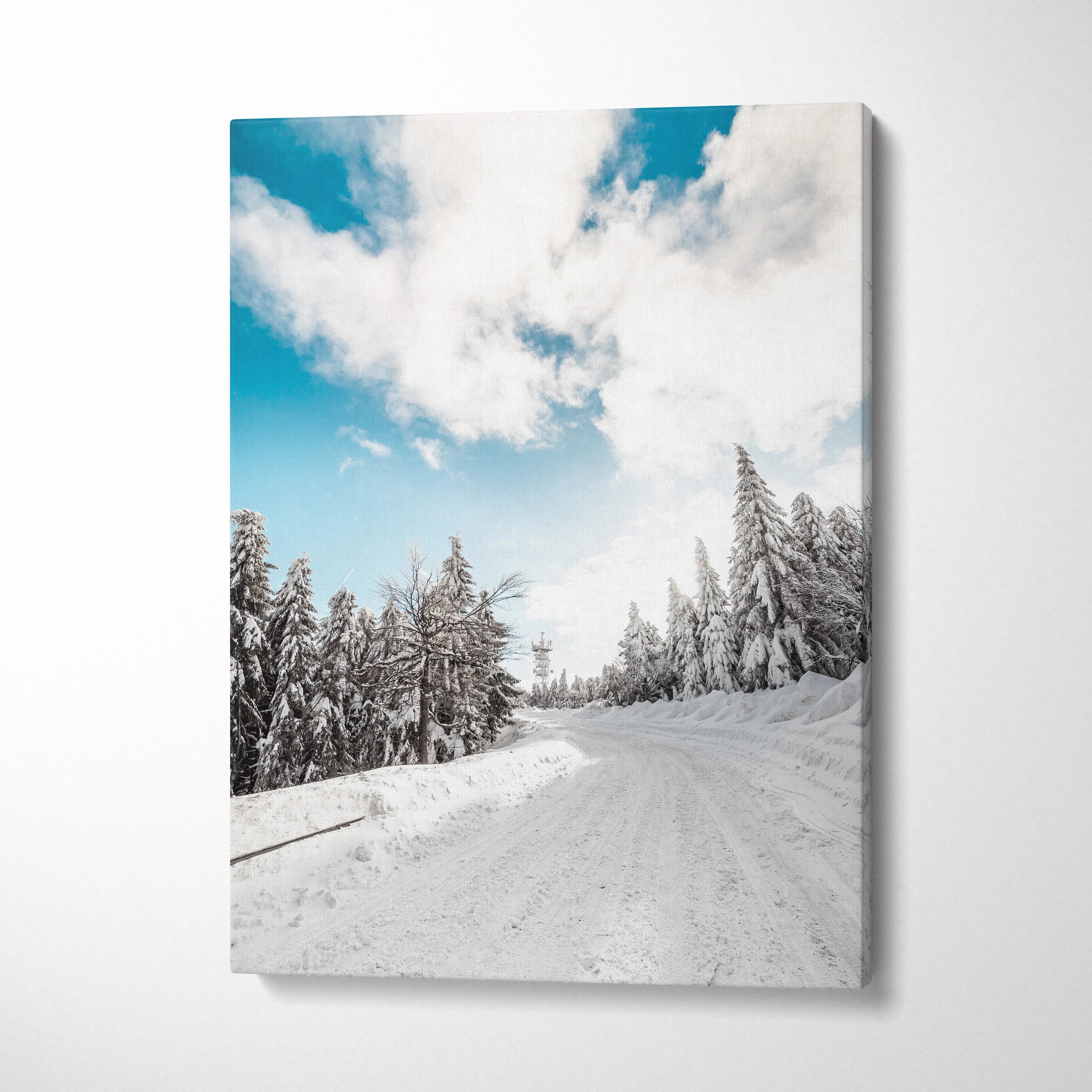 Winter snowy trees canvas wall art with frosted landscape and bright blue sky decor.