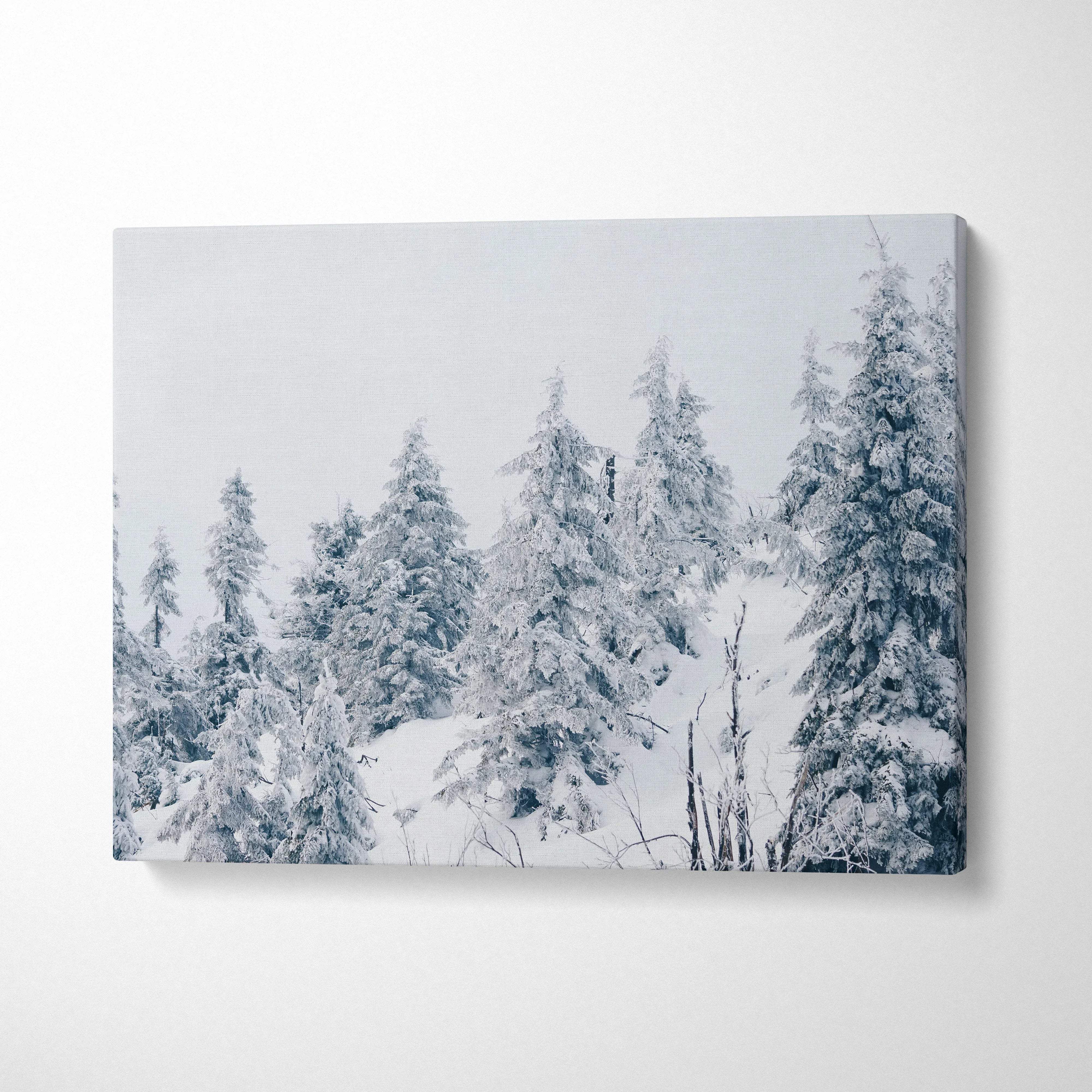 Winter snowy forest canvas wall art with frosted pine trees in muted blue and white tones decor.