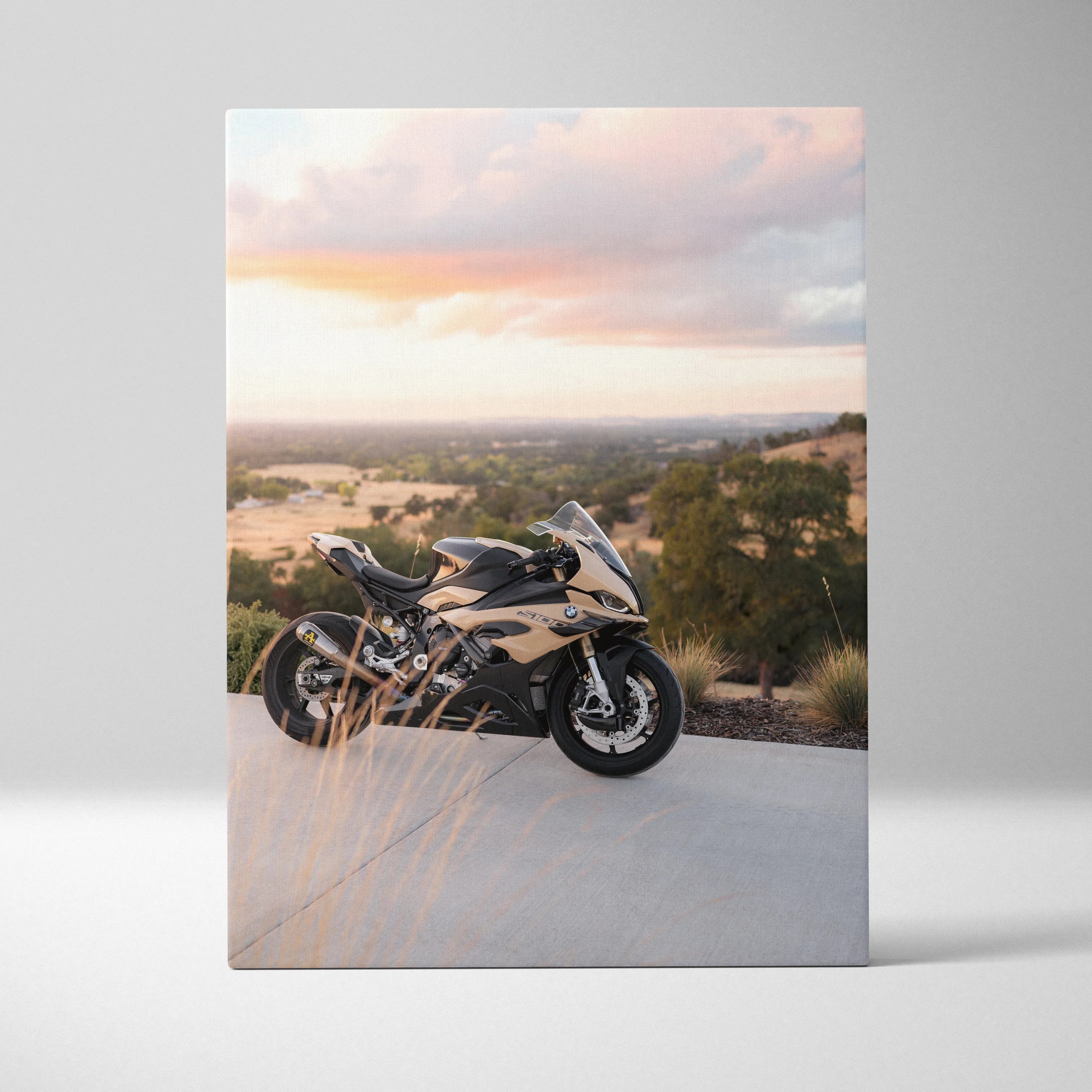 BMW Inspired S1000RR High Resolution Museum Quality Vertical Motorcycle Canvas Print #089 - Throttle Designs