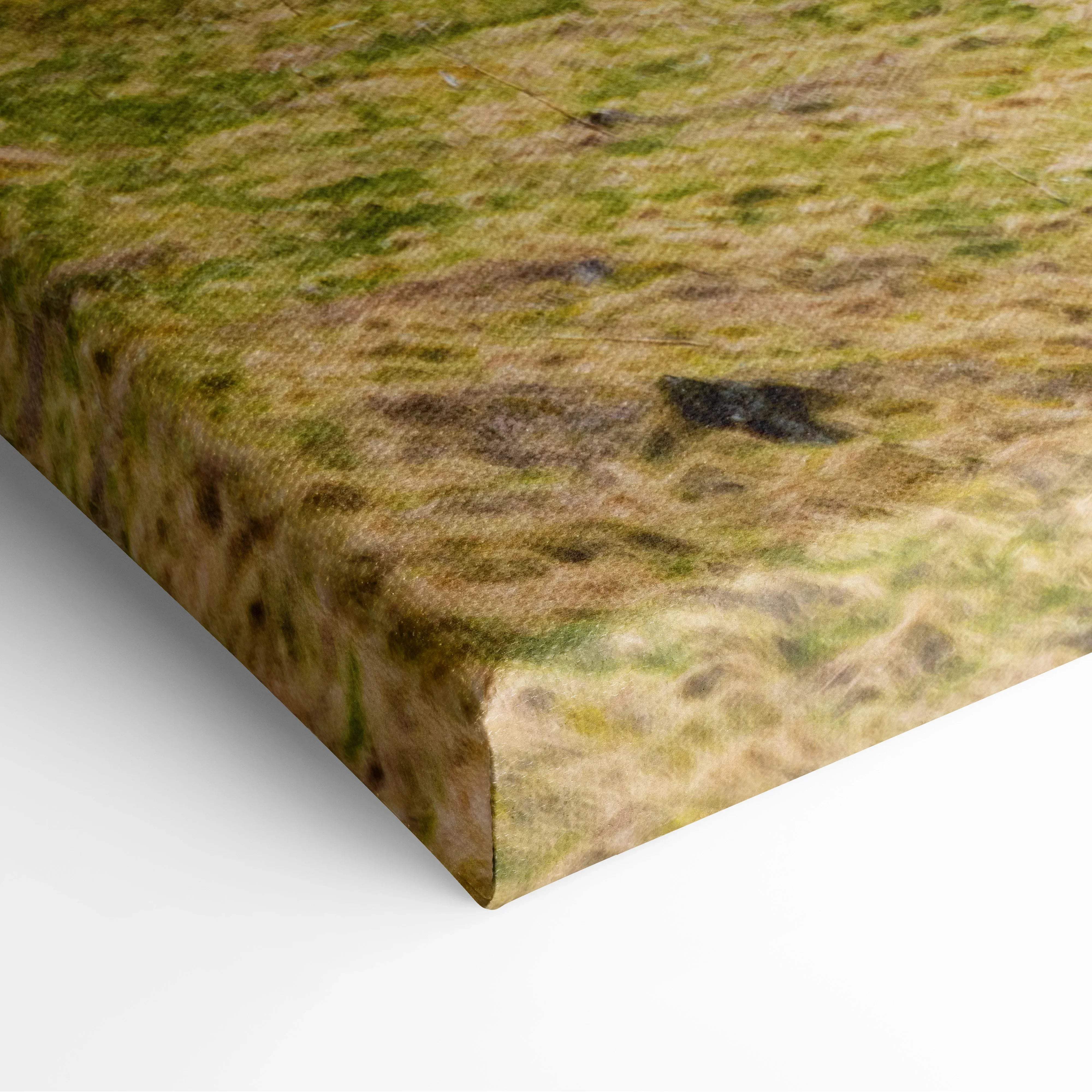Icelandic waterfall landscape canvas print featuring textured mossy green and brown grass field for living room decor