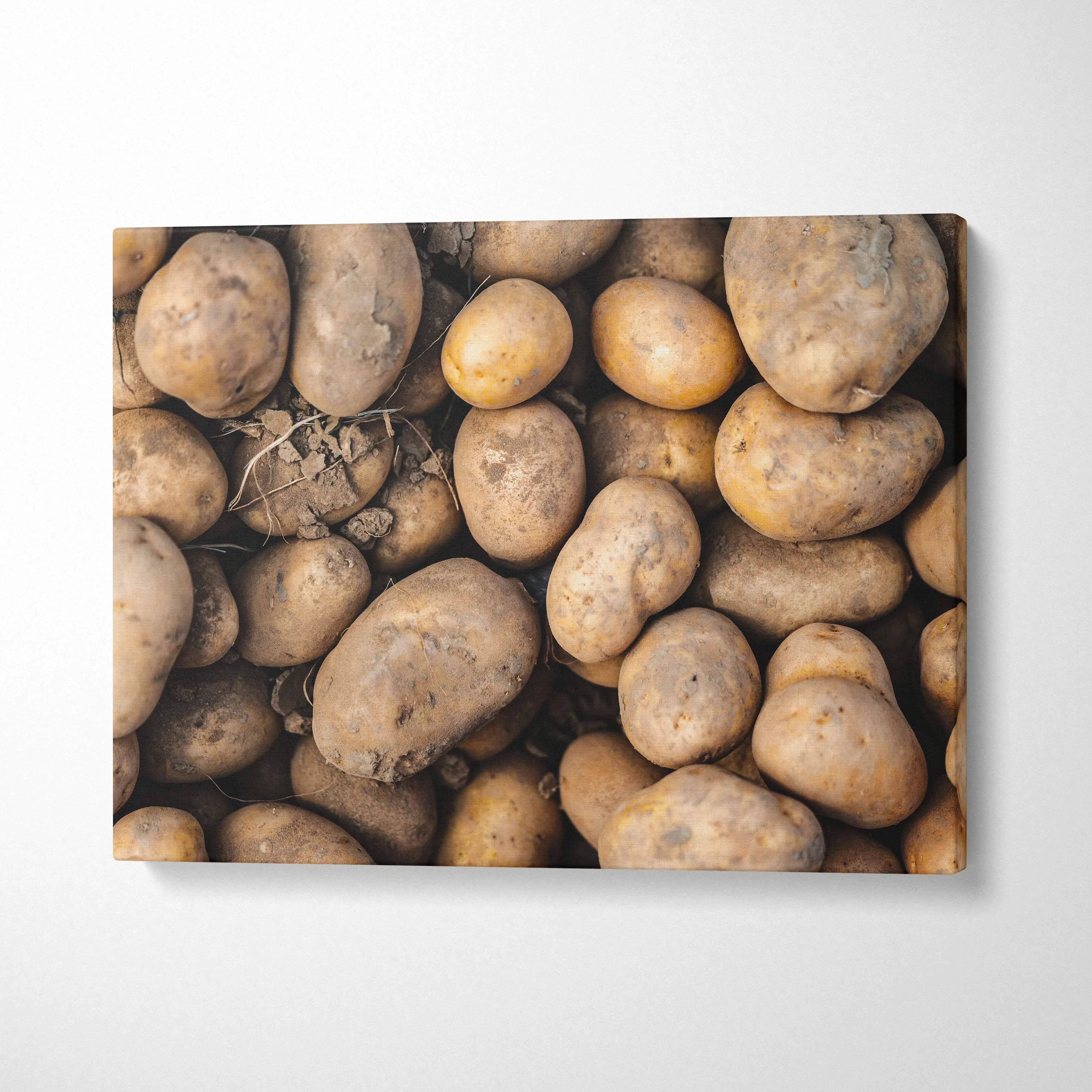 Rustic high-resolution potato canvas wall art with earthy tones for kitchen decor.