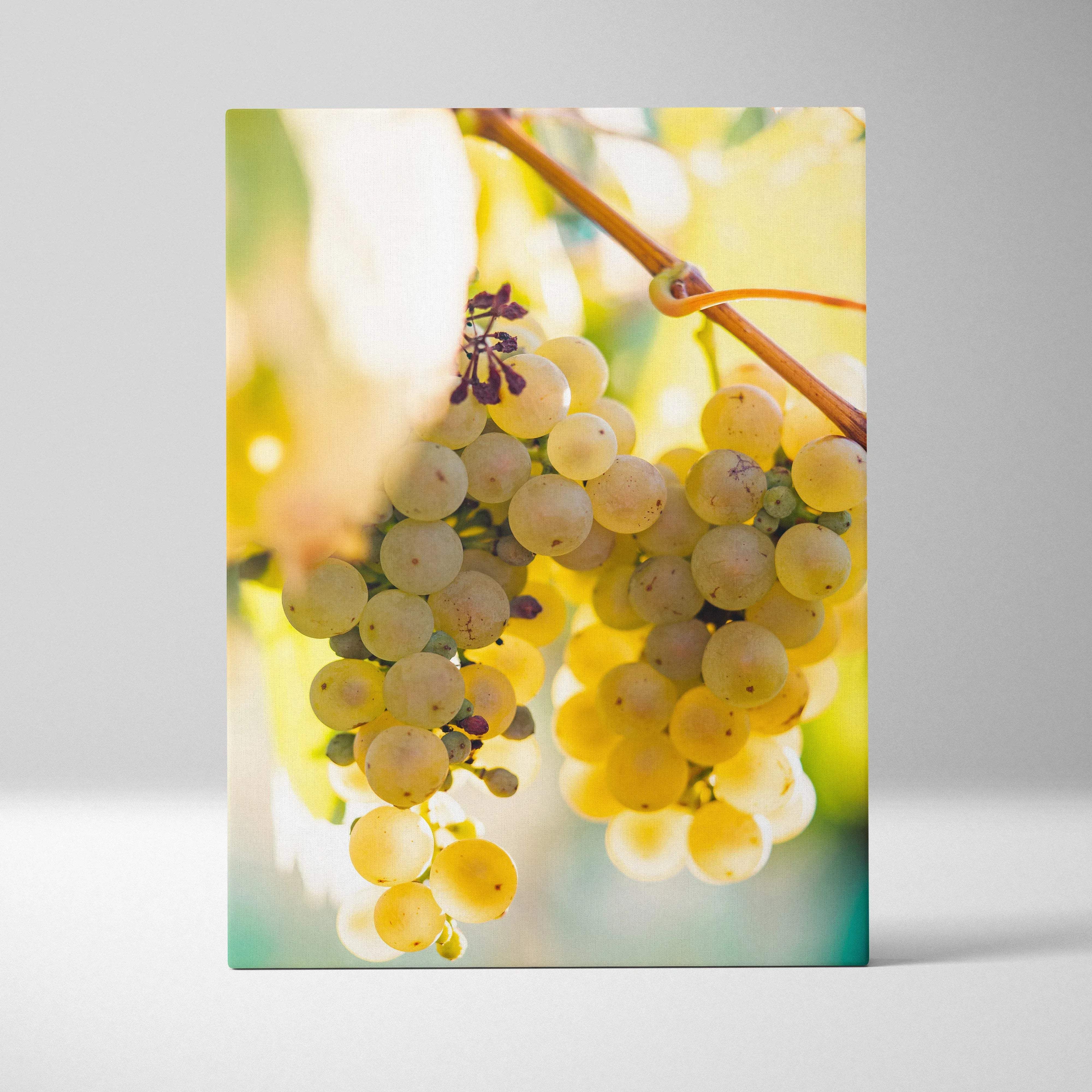 Vibrant canvas wall art featuring ripe golden-yellow grapes on a vine with soft bokeh lighting for living room decor