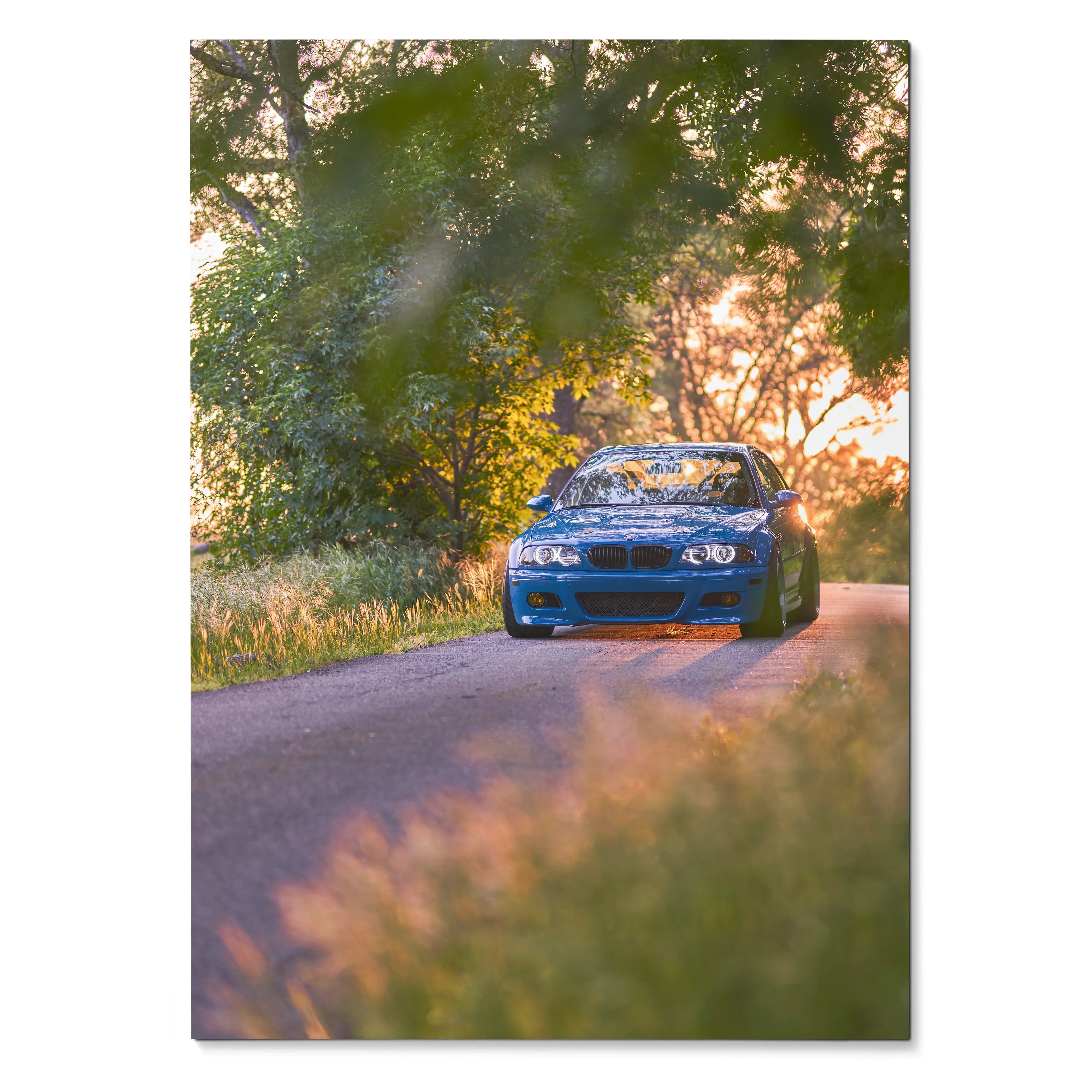 BMW E46 M3 driving on tree-lined road at sunset poster wall art with vibrant natural colors.